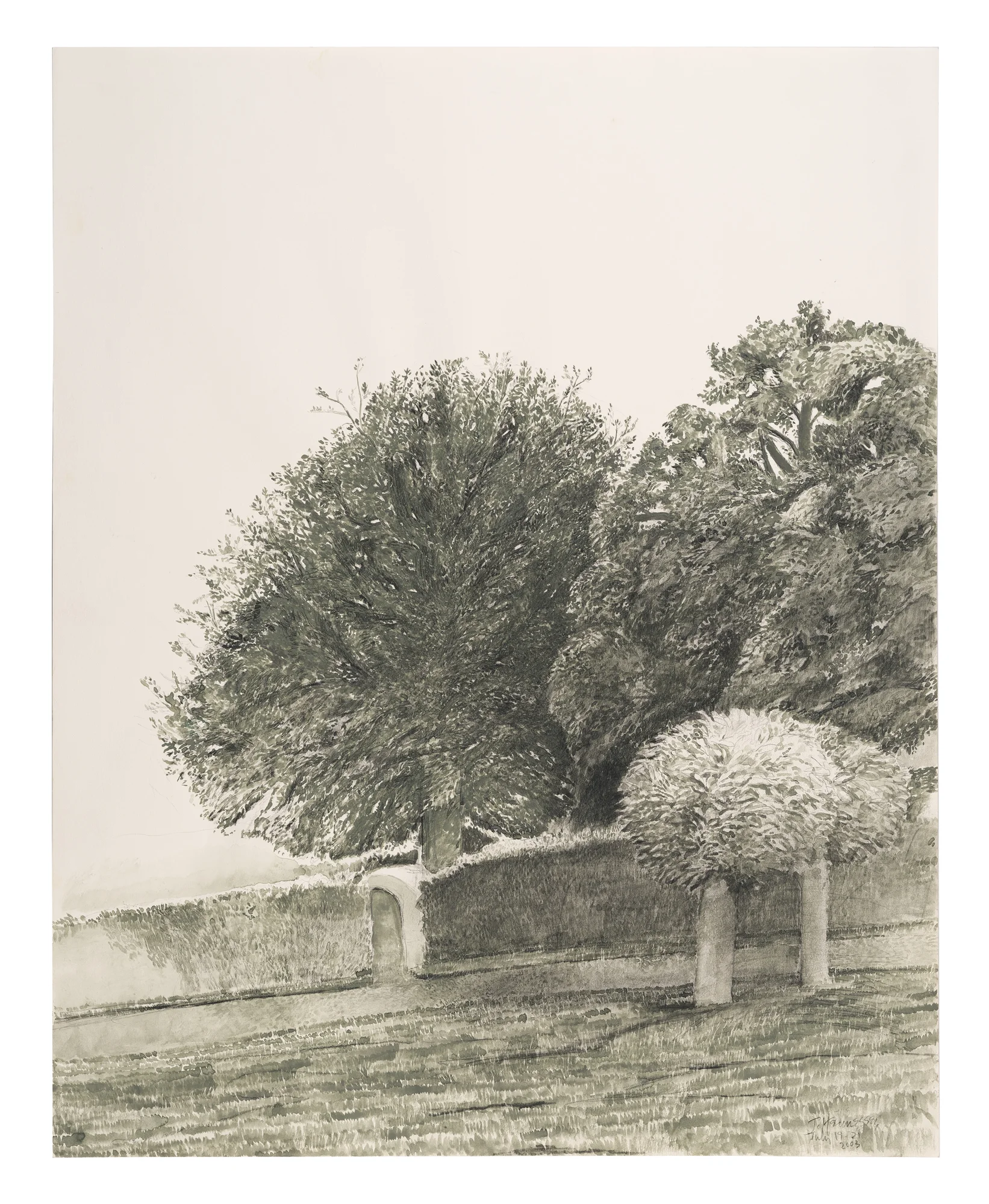 Trees: ink wash on paper, 24"x19", 2003