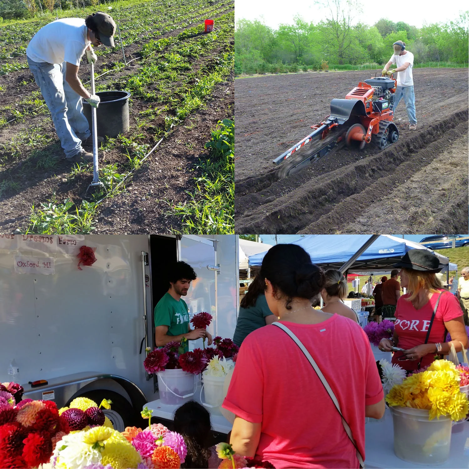 First year planting, weeding, and selling at the Rochester Farmer's Market