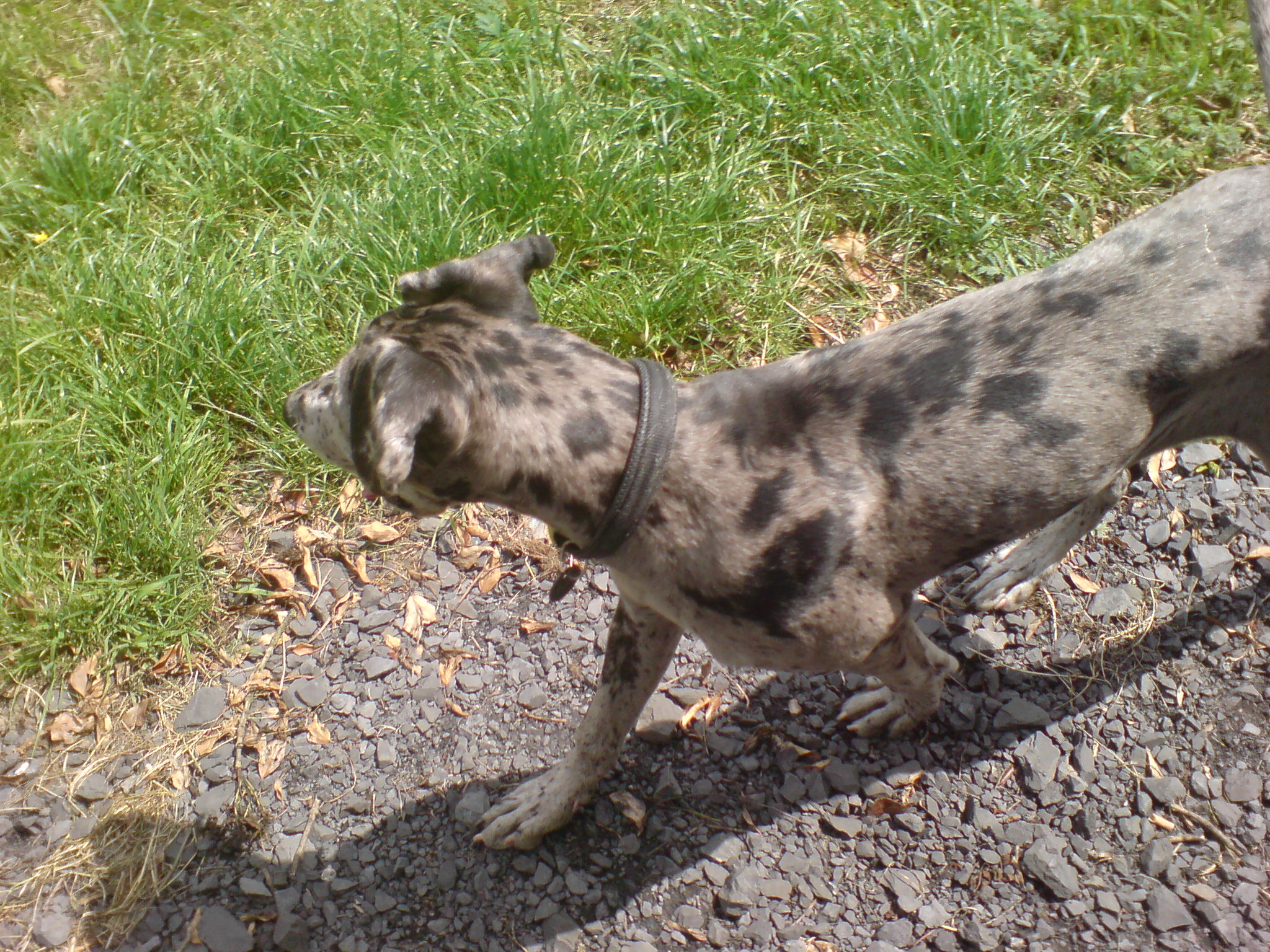 140607_2.JPG