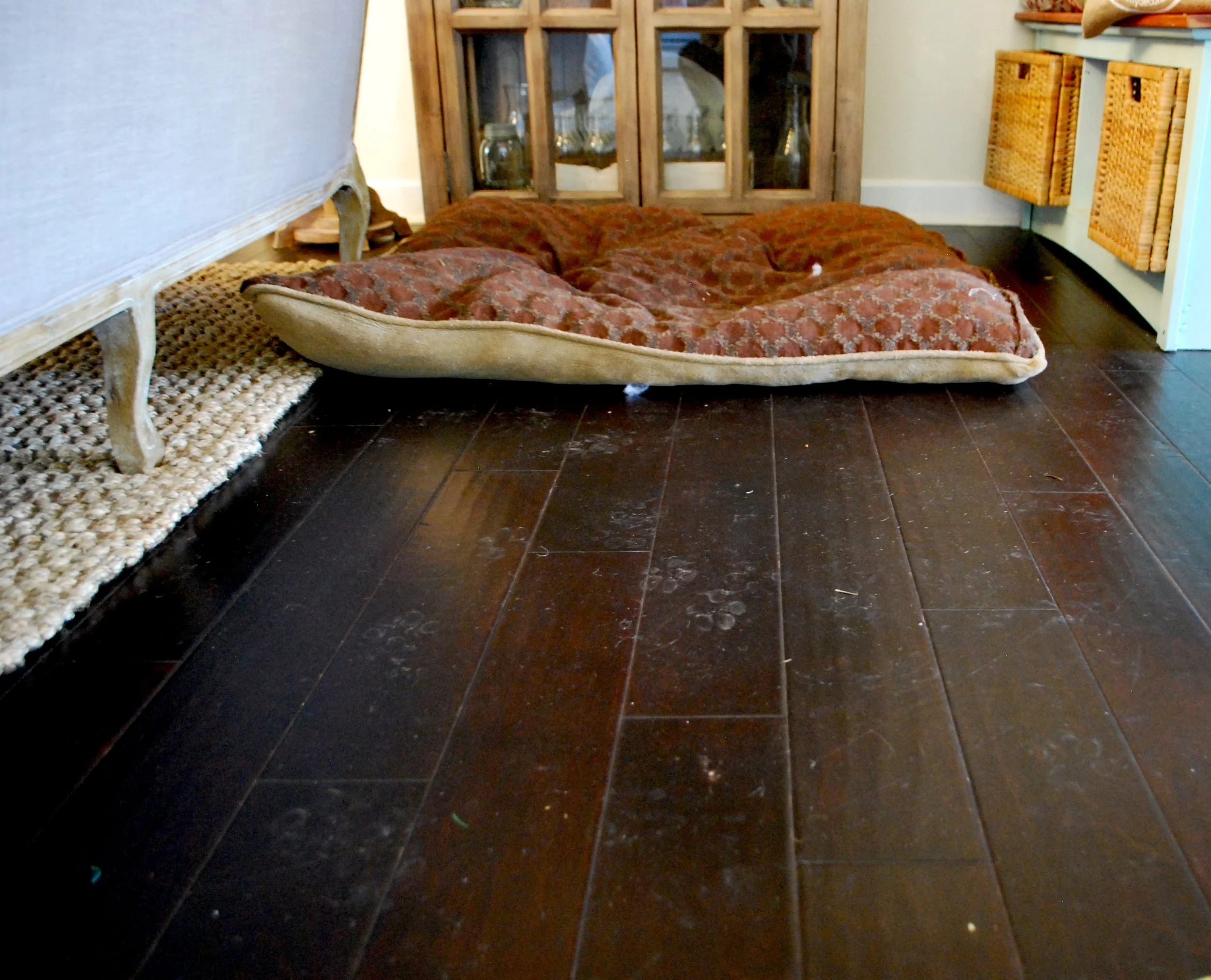 Dirty little paw prints and dirt... I need to sweep and mop NOW! 