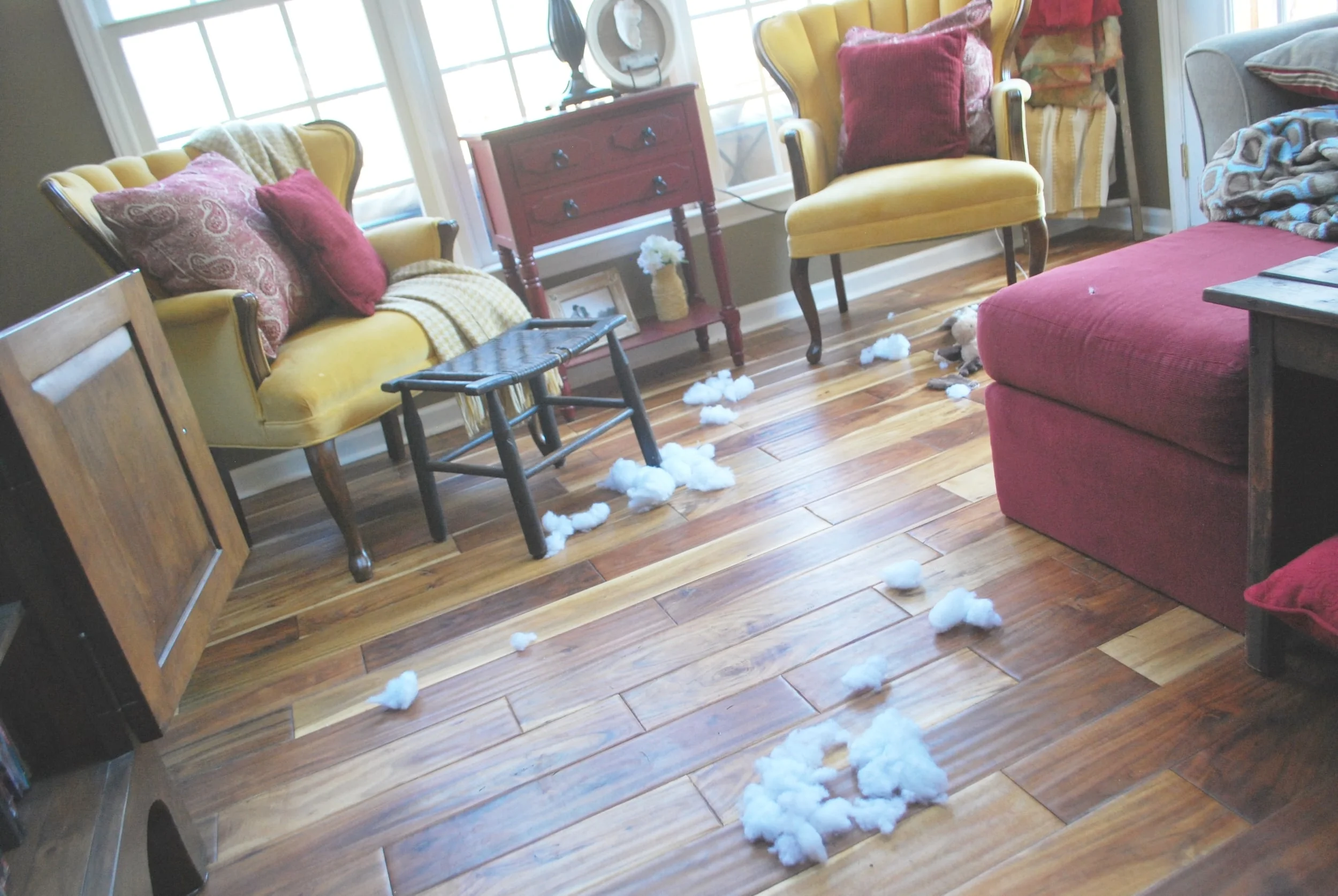 Dog toy stuffing everywhere...