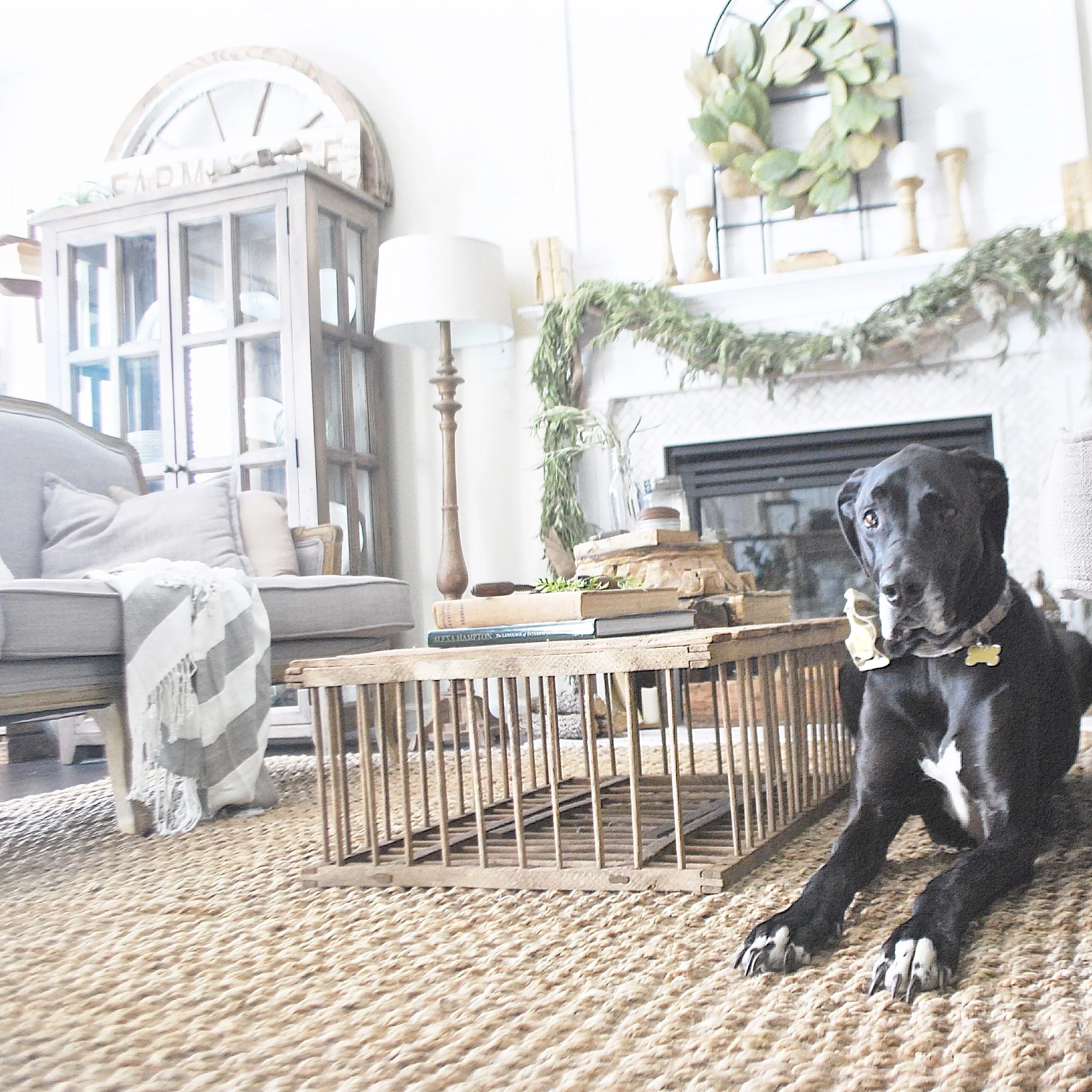 Plum Pretty Decor & Design Co.Jute Rug Review The Ugly Truth About
