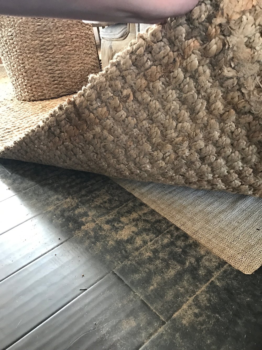 Plum Pretty Decor & Design Co.Jute Rug Review- The Ugly Truth