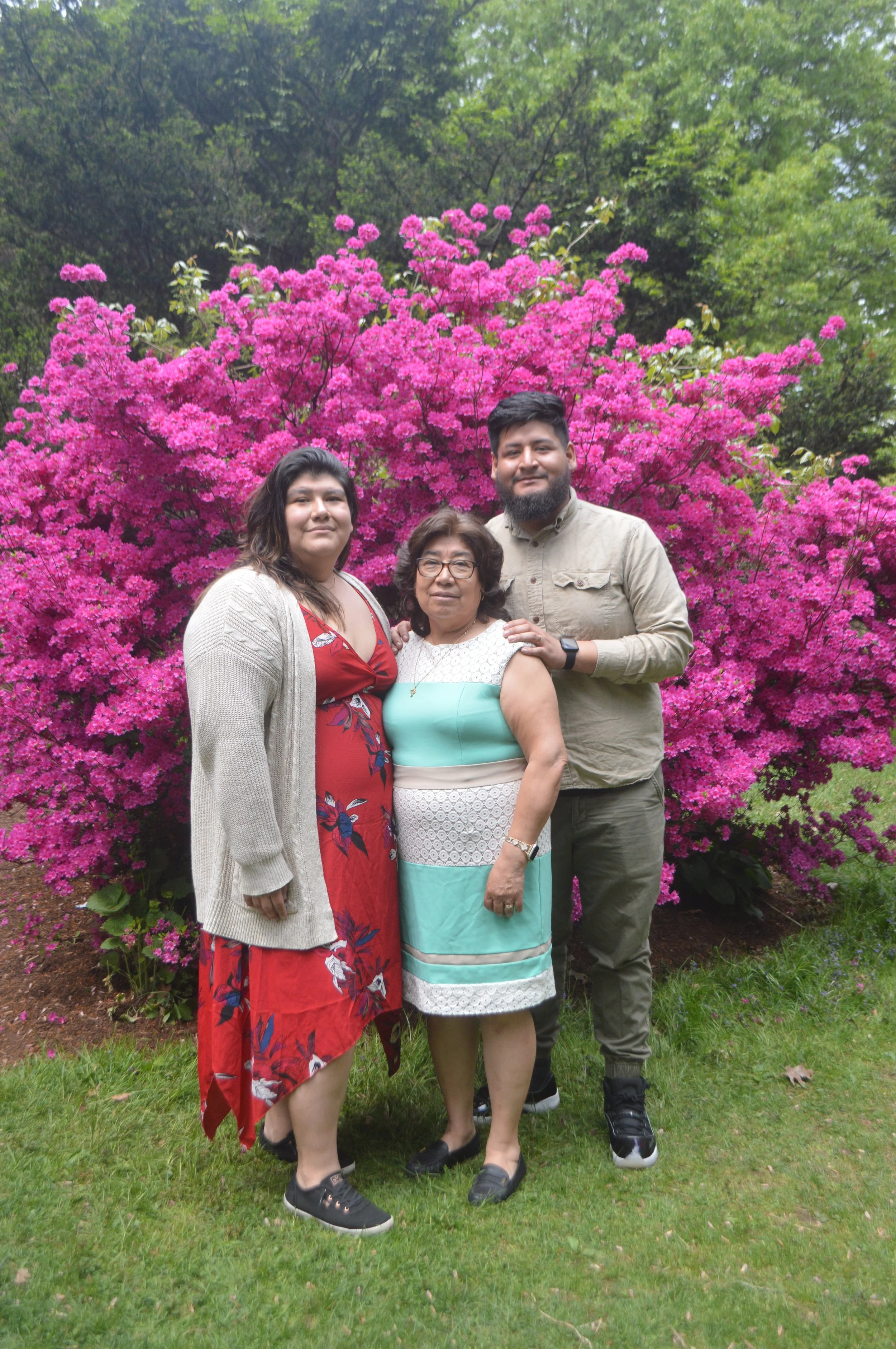 Three women standing together in front of a large pink flowering bush with green trees in the background, on a grassy area.
