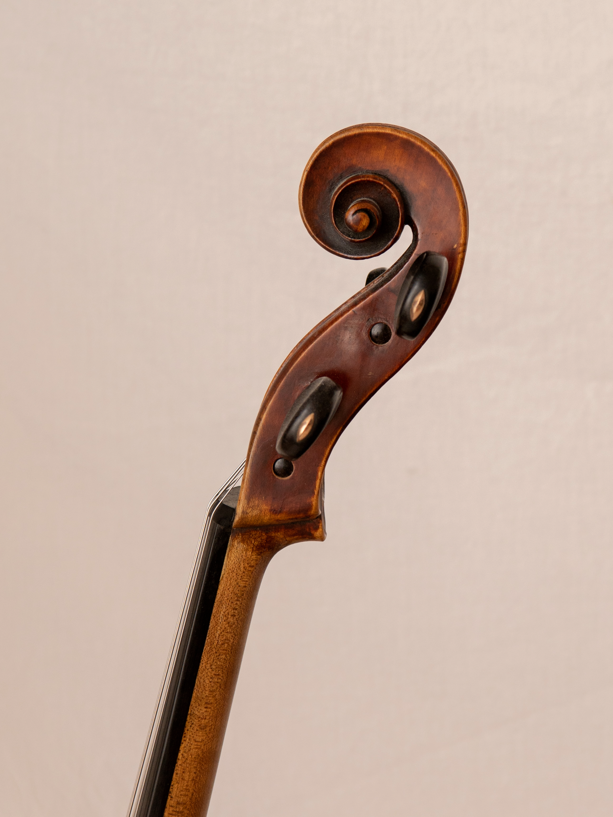 Cello 1.5.png