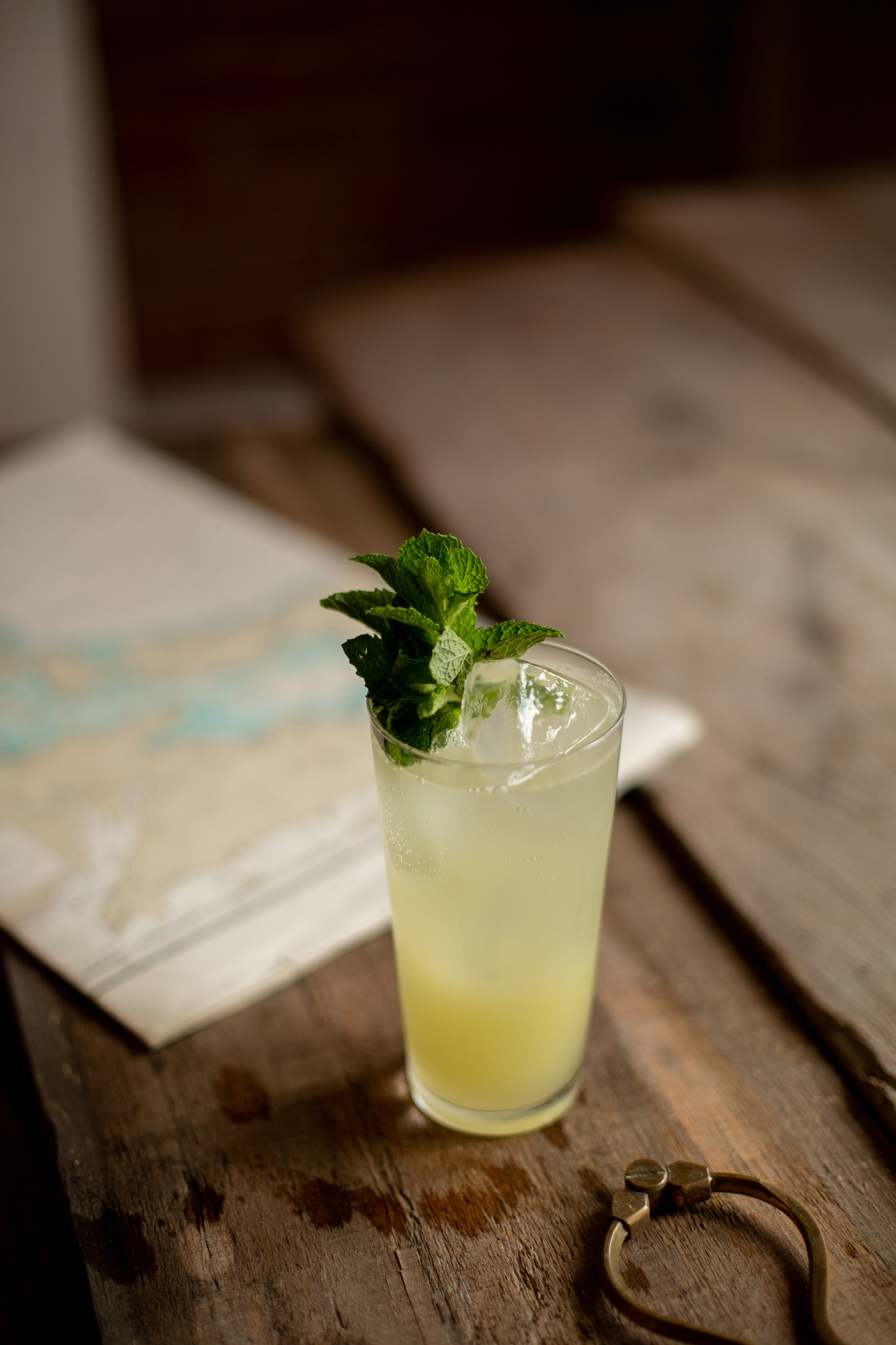 Gin Citrus Mojito