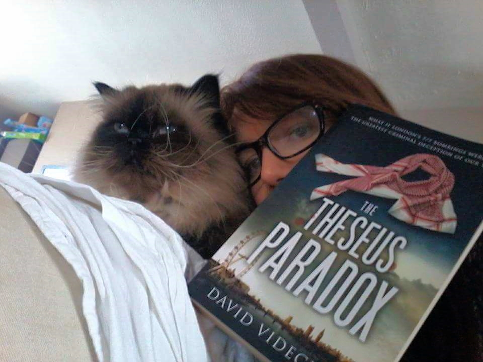 Even the cat likes it!