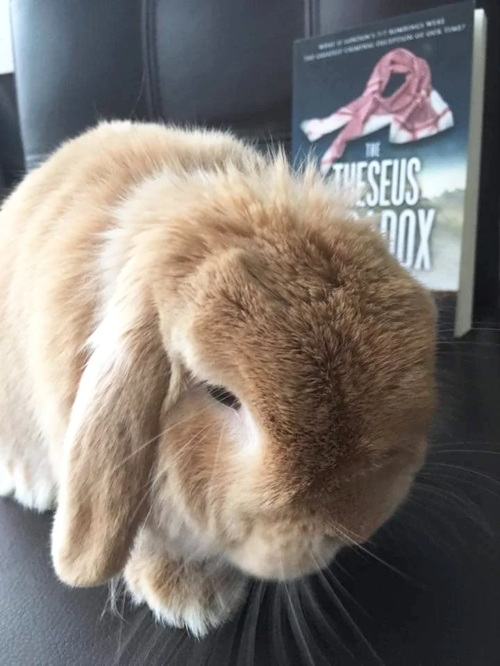Ellen Devonport's Rabbit.jpg