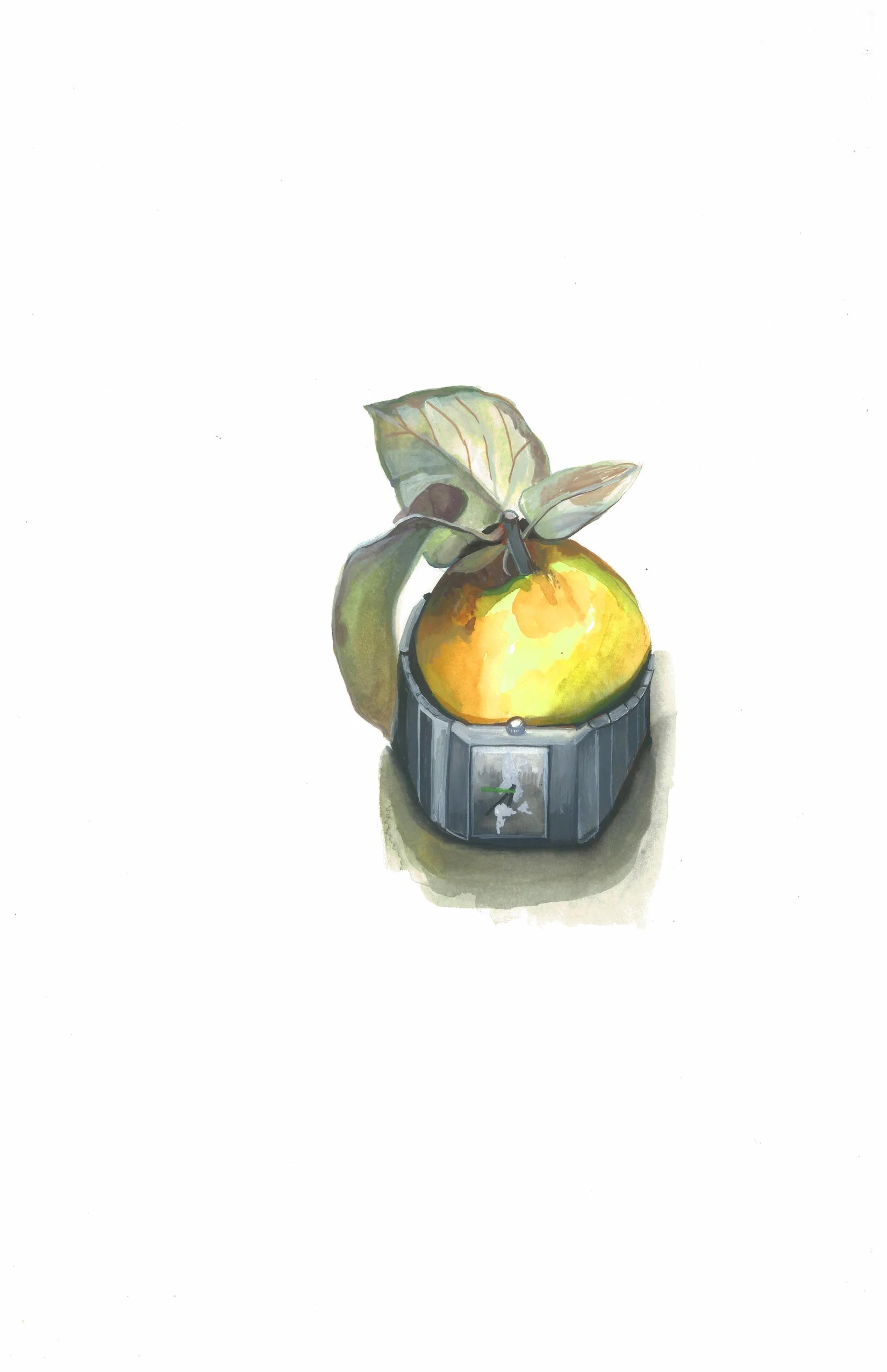 It's A Type of Fruit