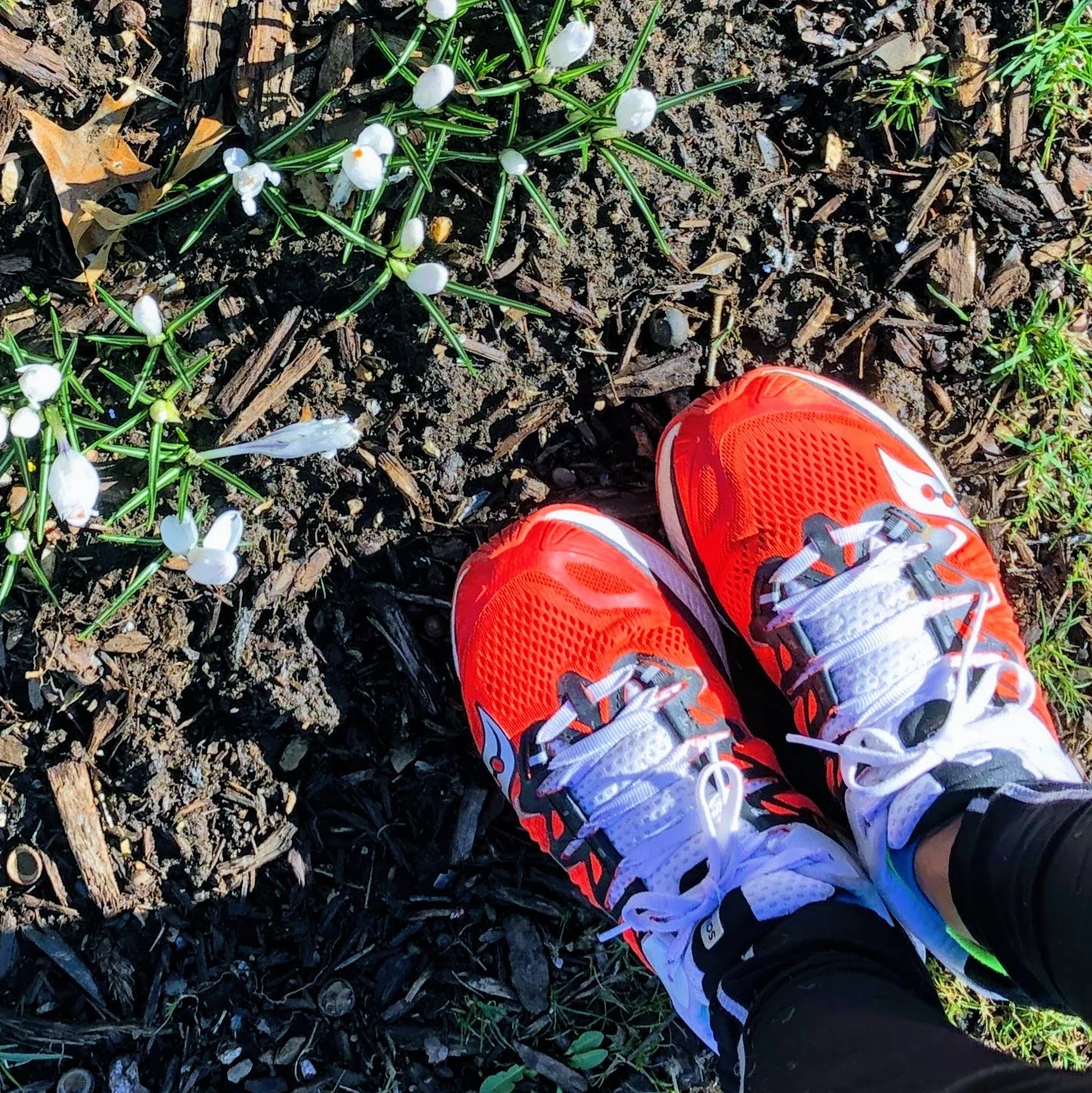 Spring+in+the+air.jpg