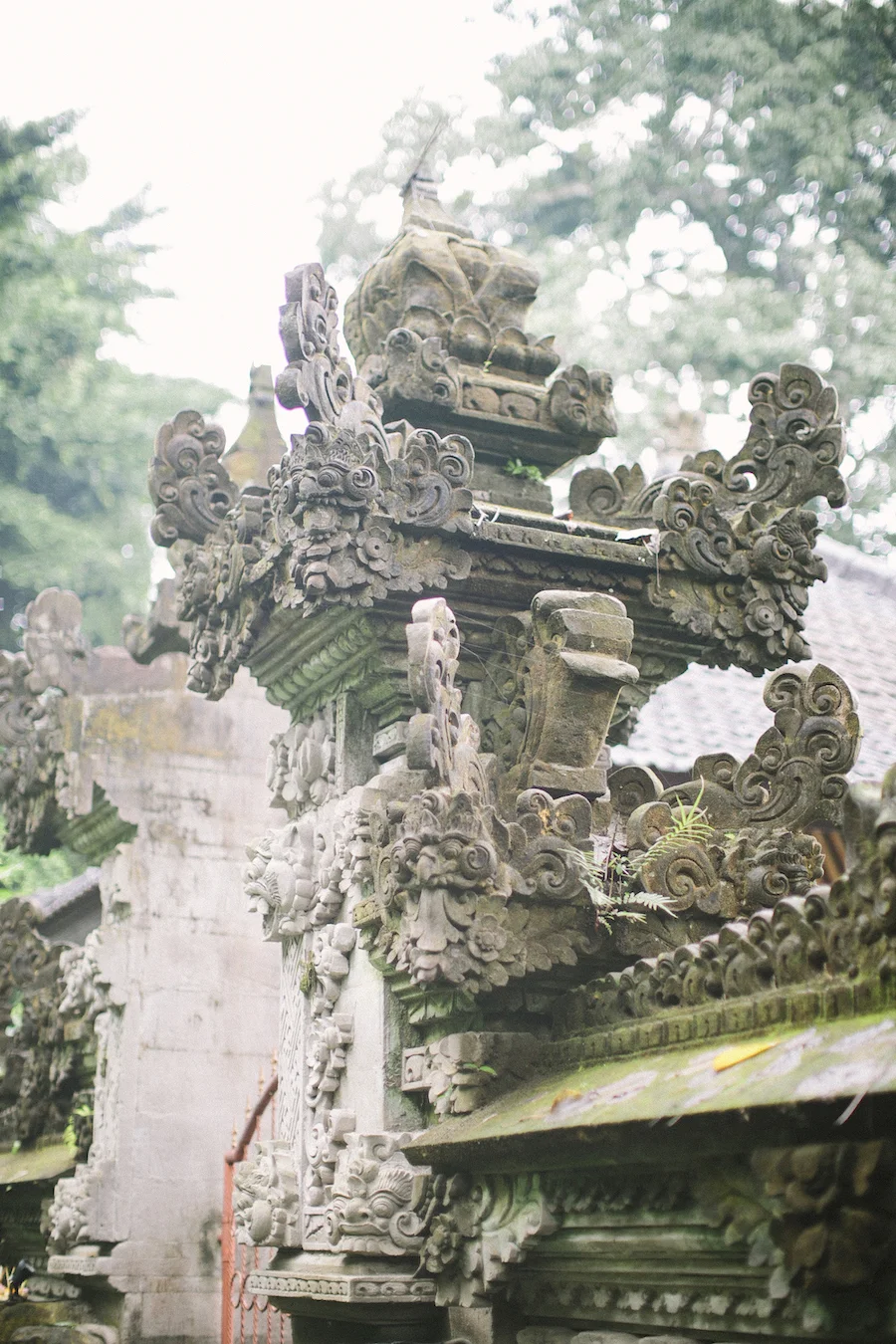 saya-photography-pre-wedding-bali-rice-field-66.jpg