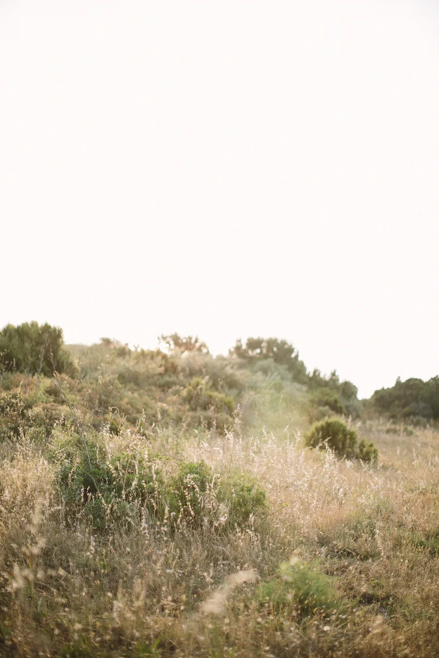 saya-photography-wedding-mariage-corse-corsica53.jpg
