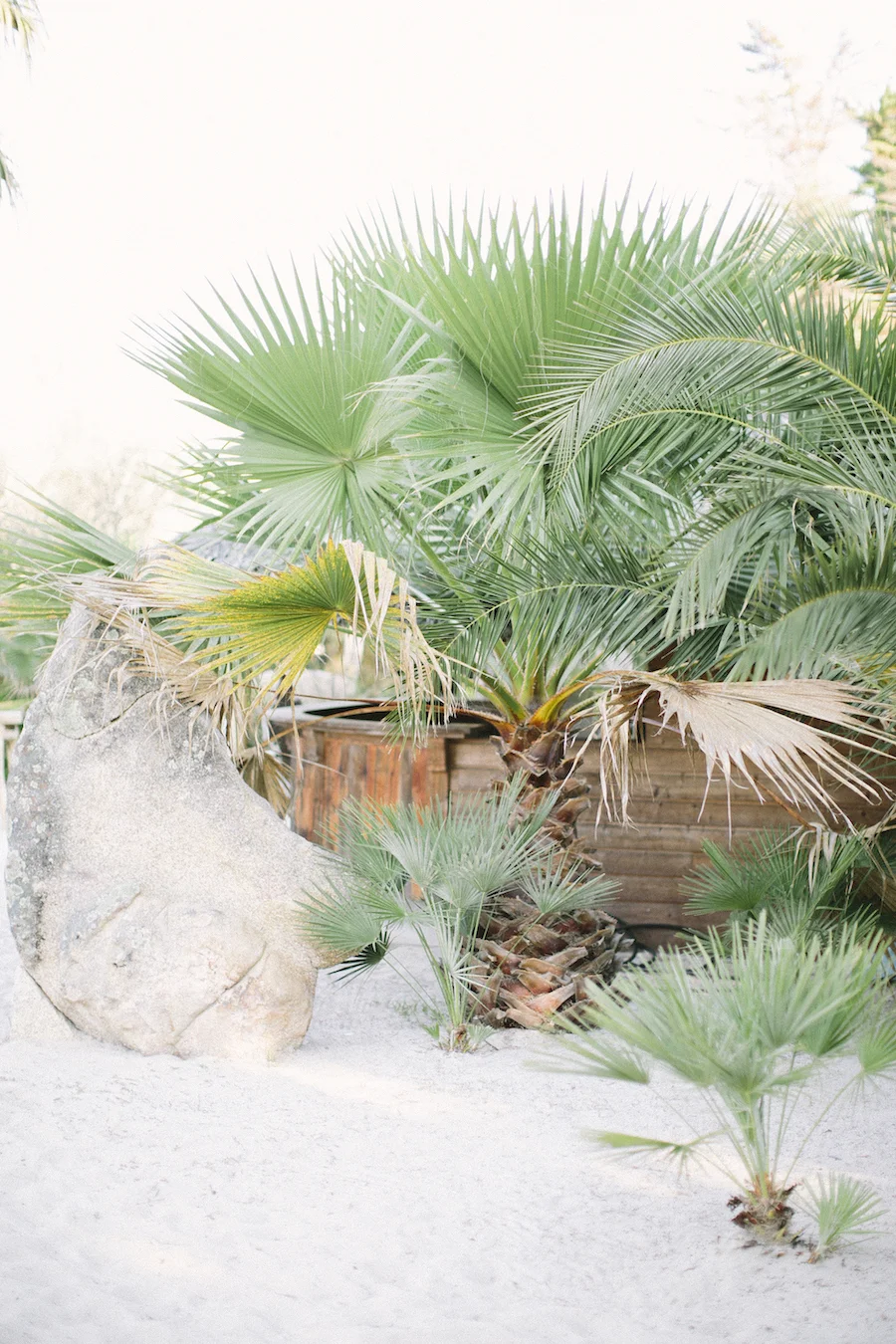 saya-photography-wedding-mariage-corse-corsica72.jpg