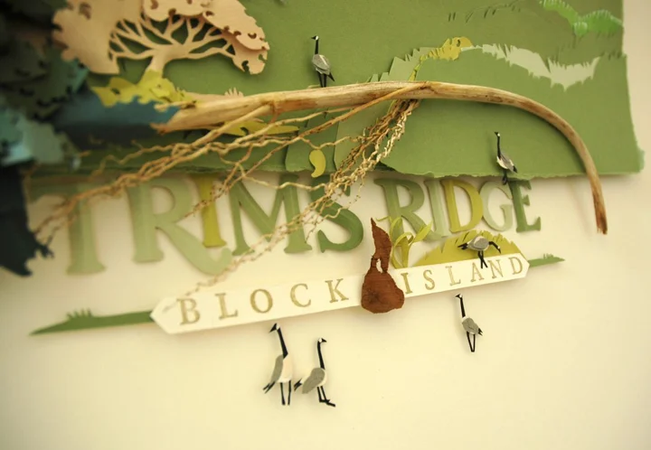 Trims Ridge detail.jpg