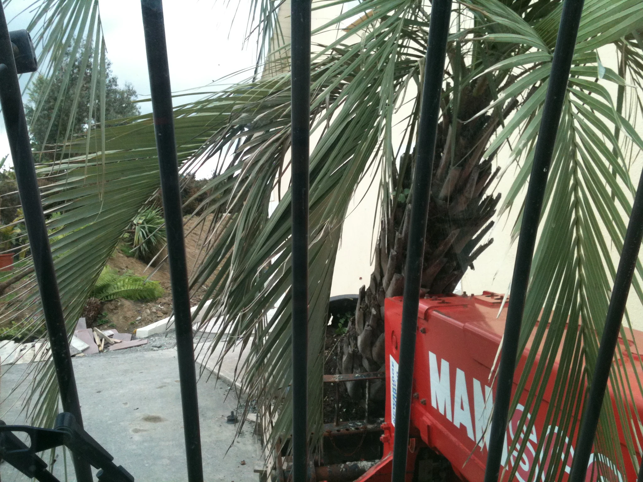 Butia Yatai.JPG