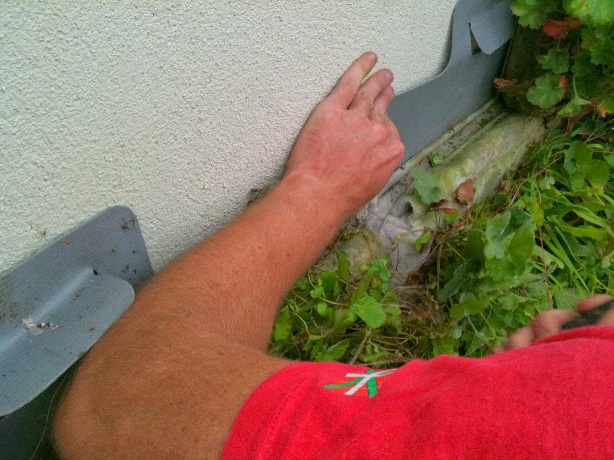 installing green wall.JPG