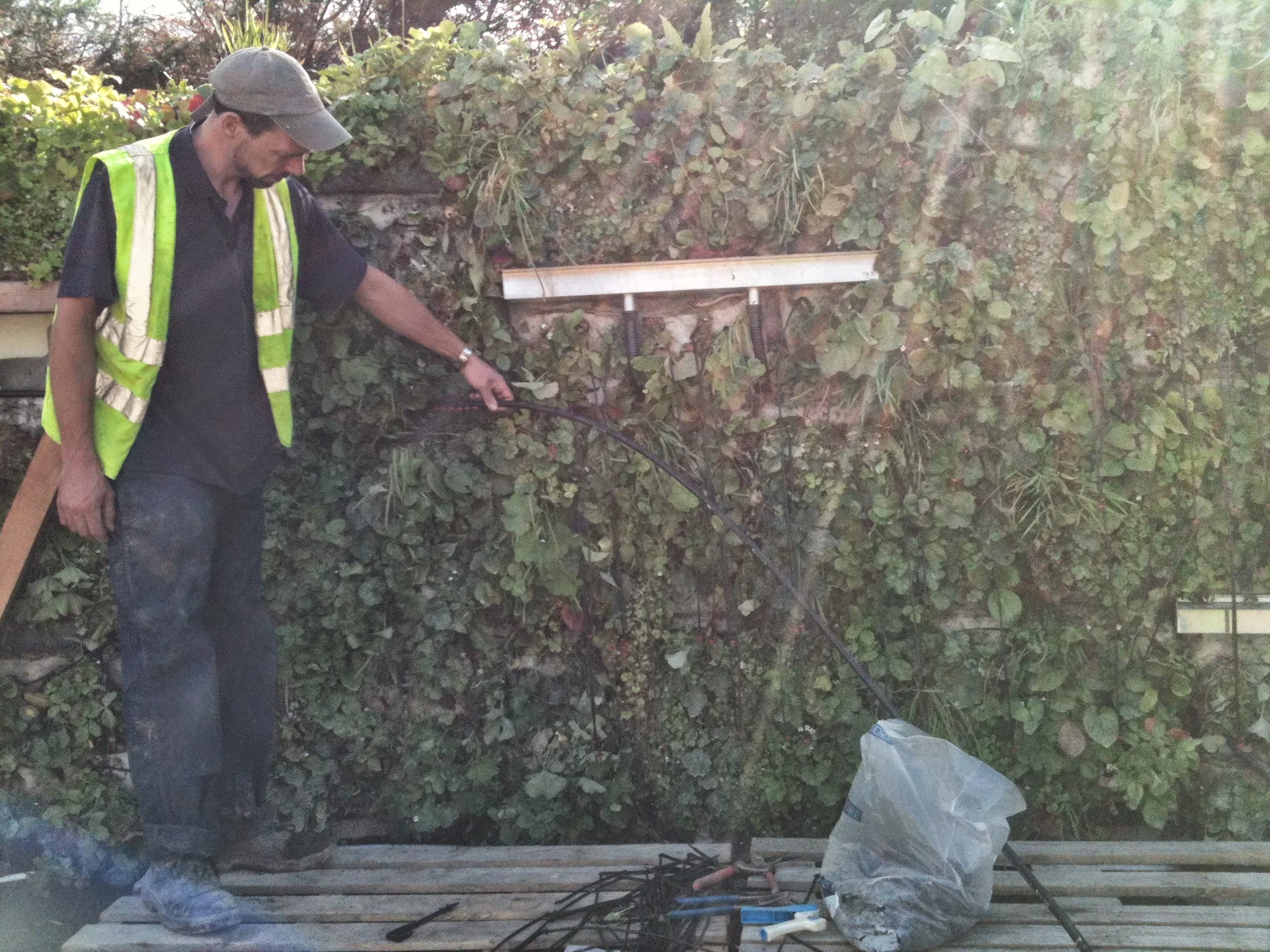 irrigation experts green walling.JPG