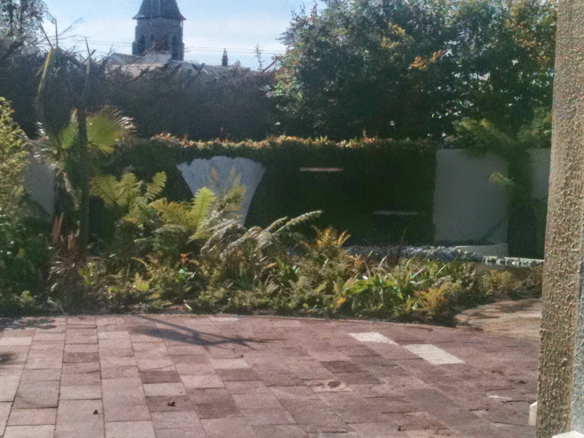 landscaping dubin.JPG