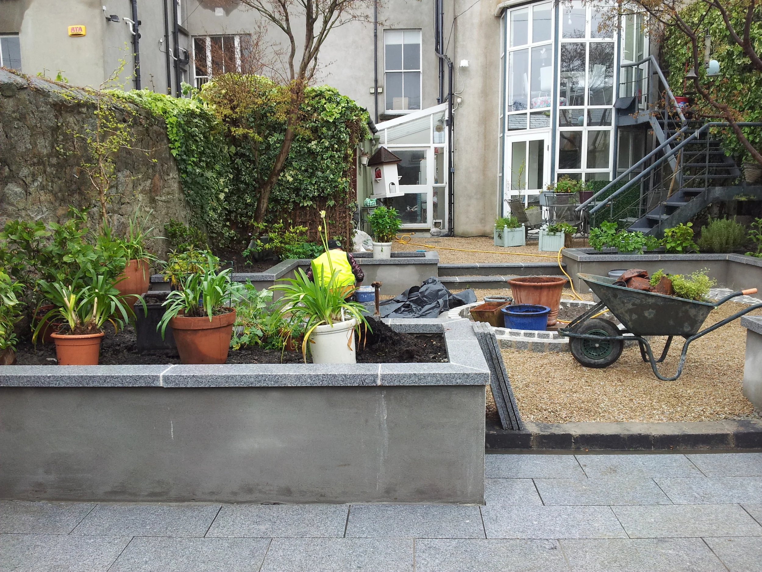 planting