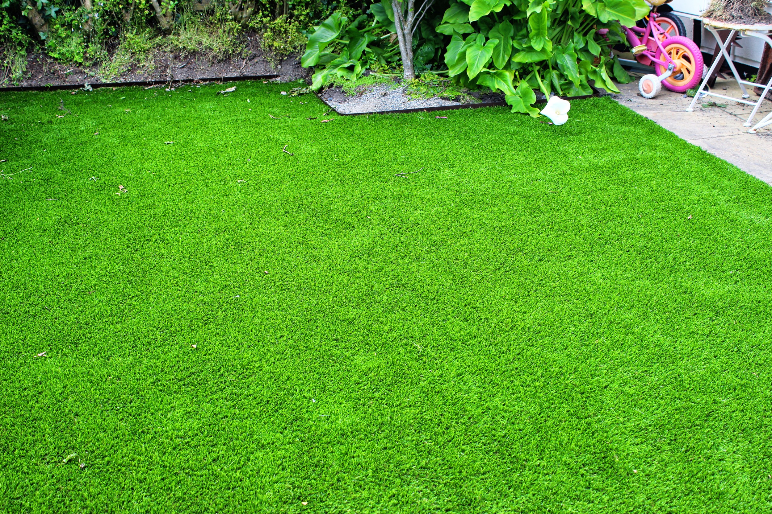 front lawn in synthetic grass
