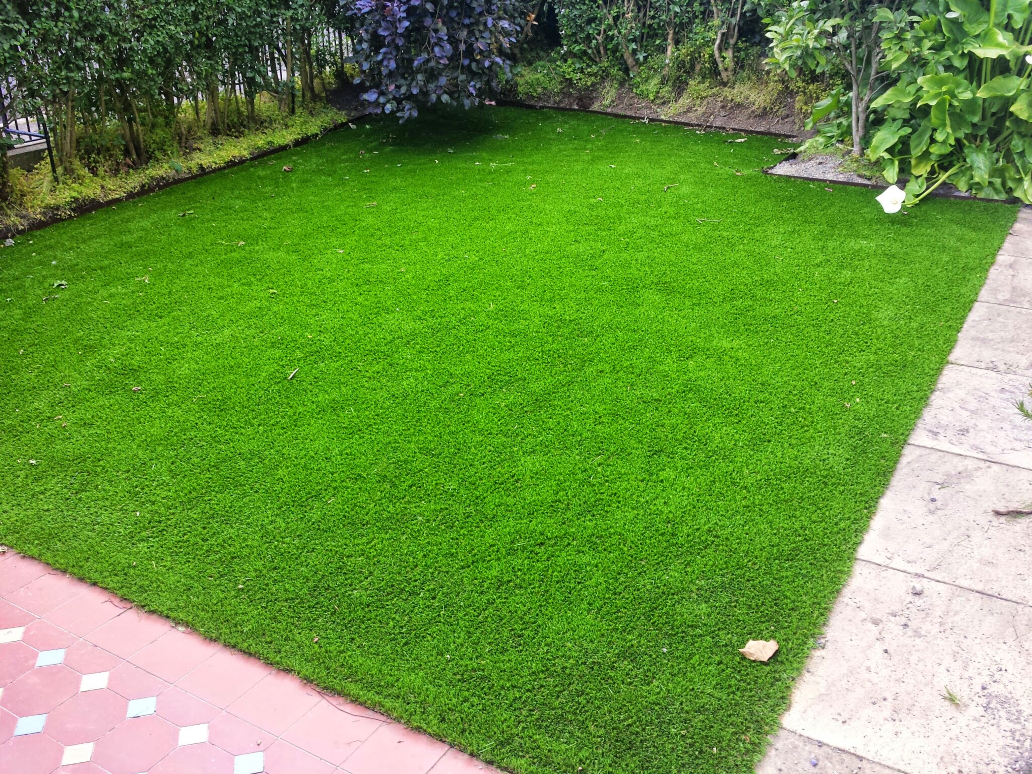 green synthetic grass