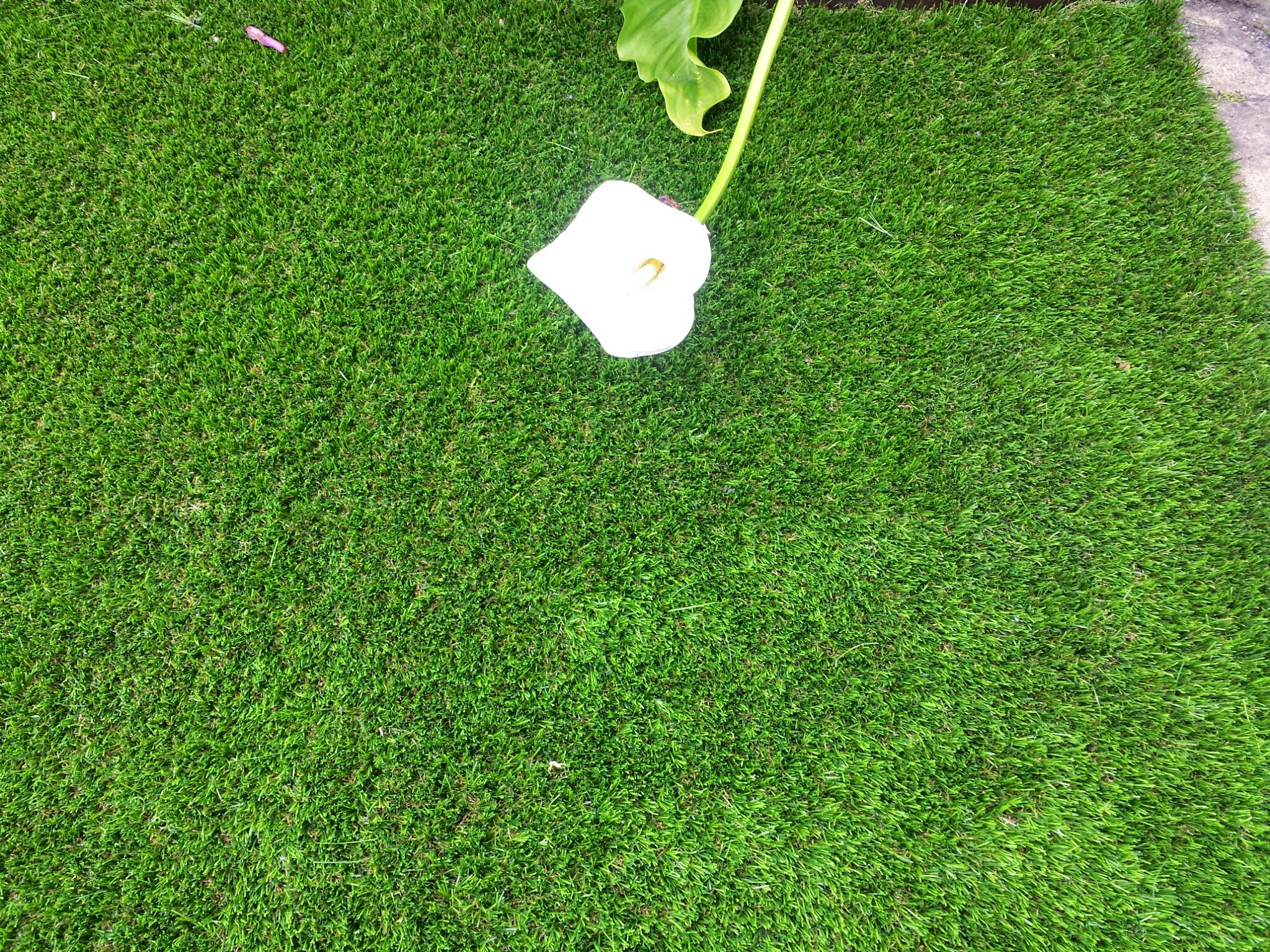 artificial grass Lawn