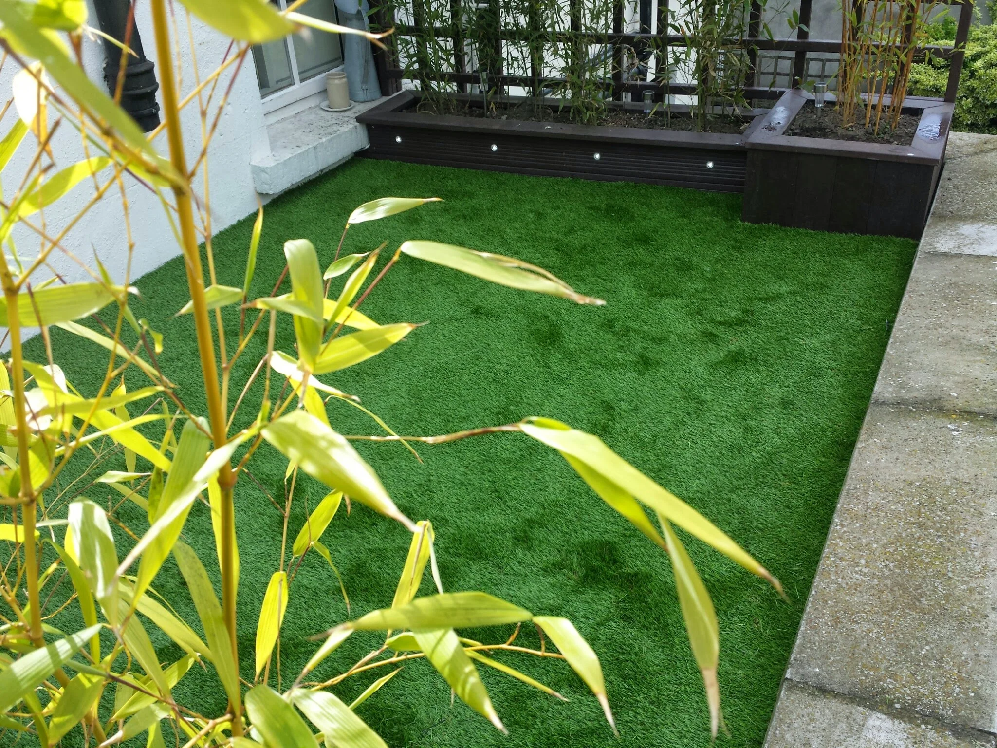 balcony grass.jpg