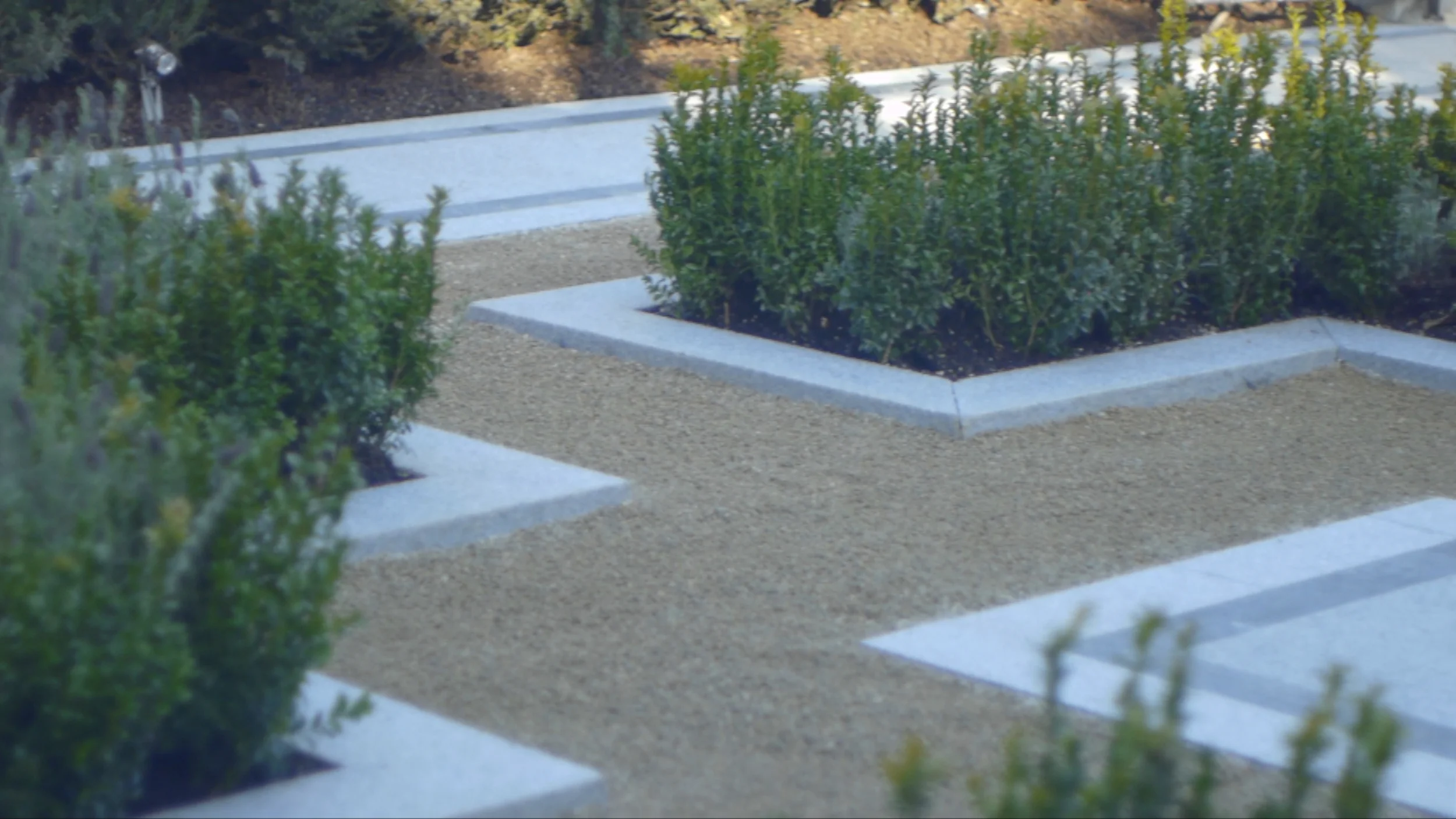 Rathgar Garden Design