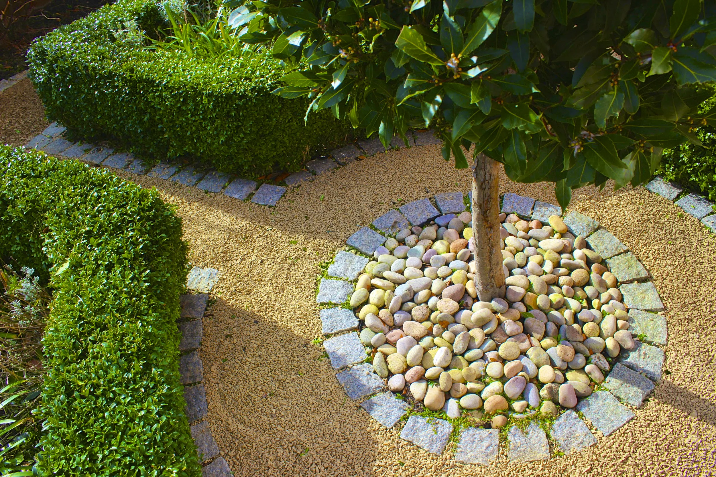 Ormond Road Front Garden