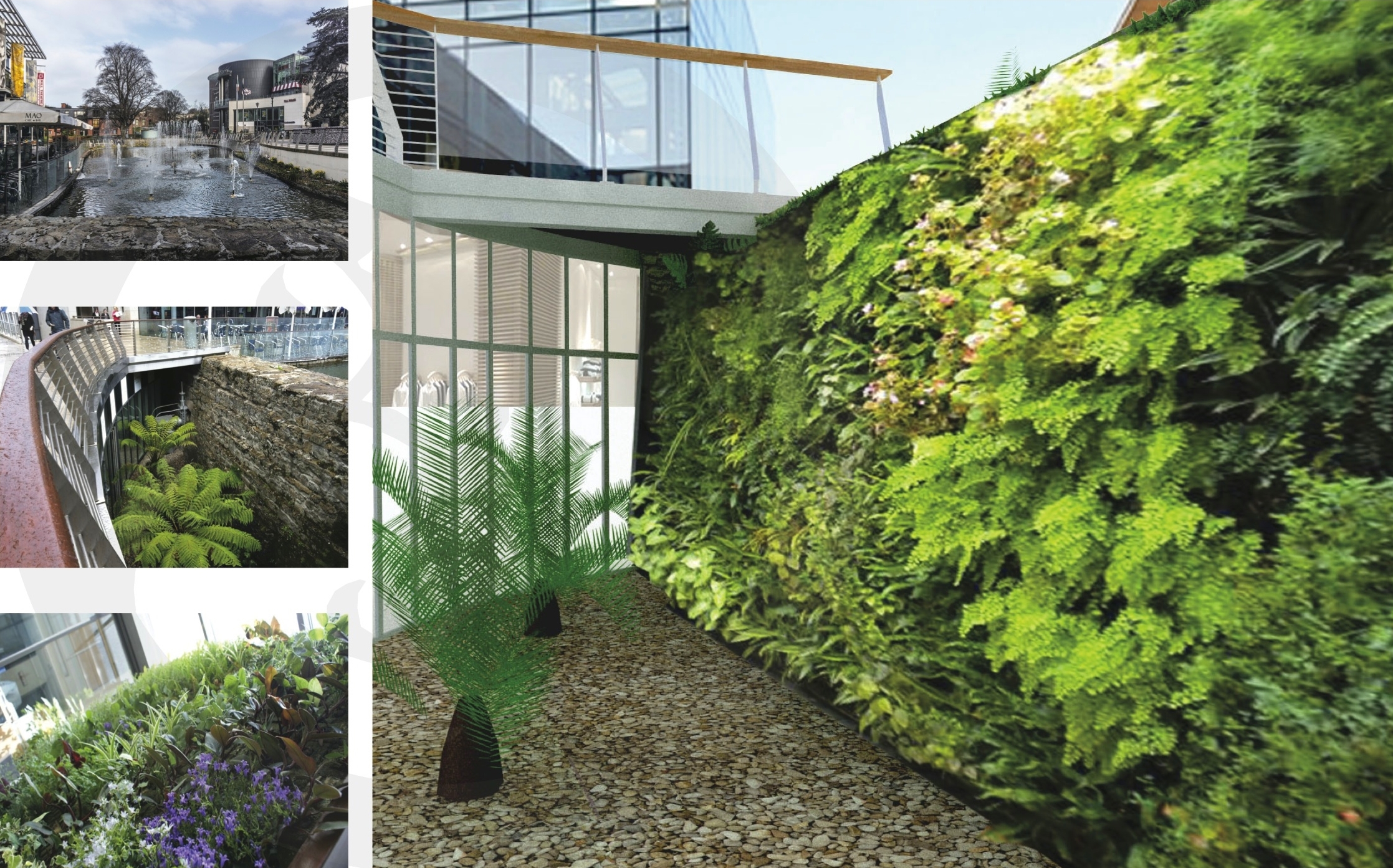 Living walls for Dundrum