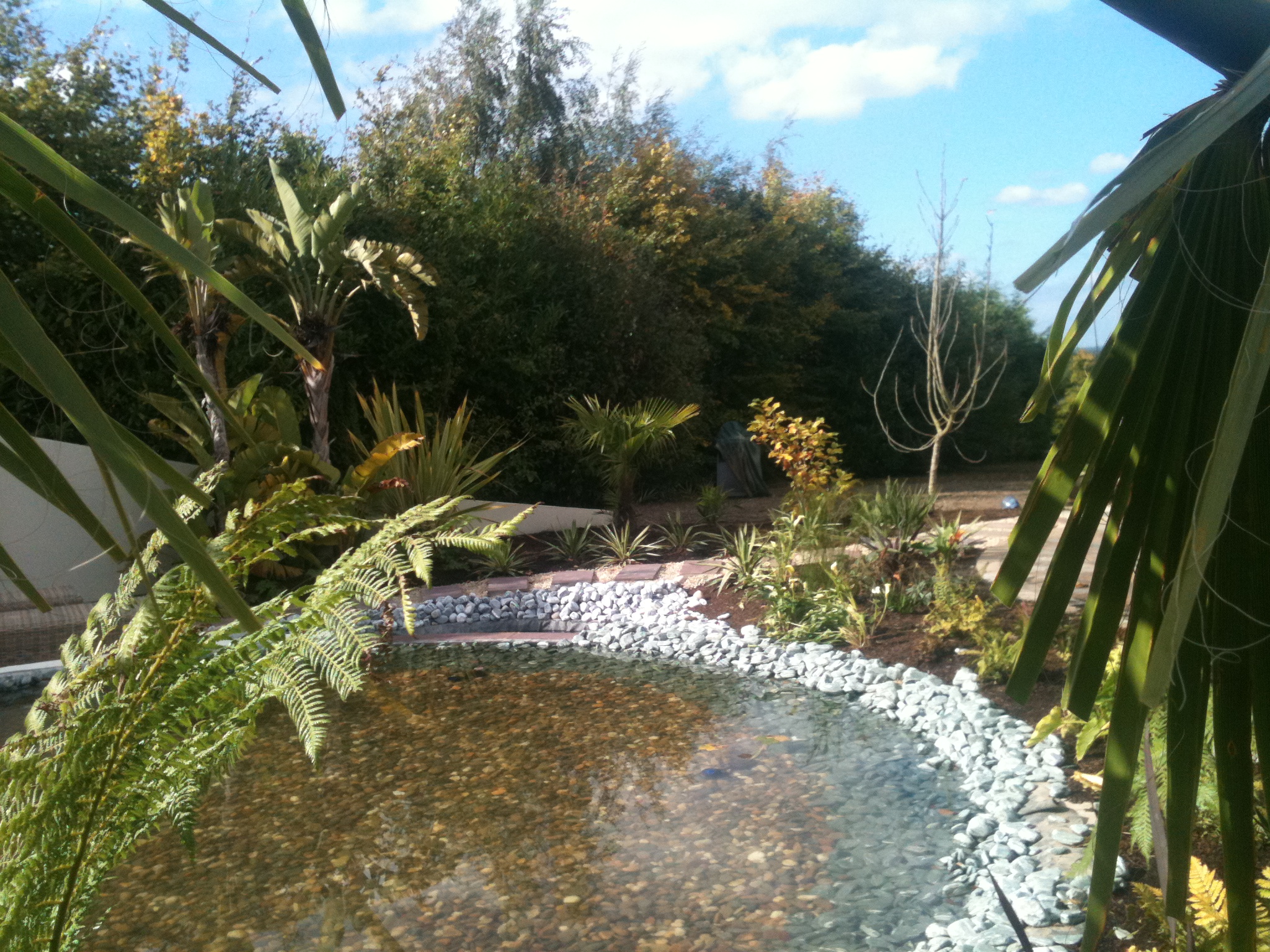 pond garden dublin.JPG