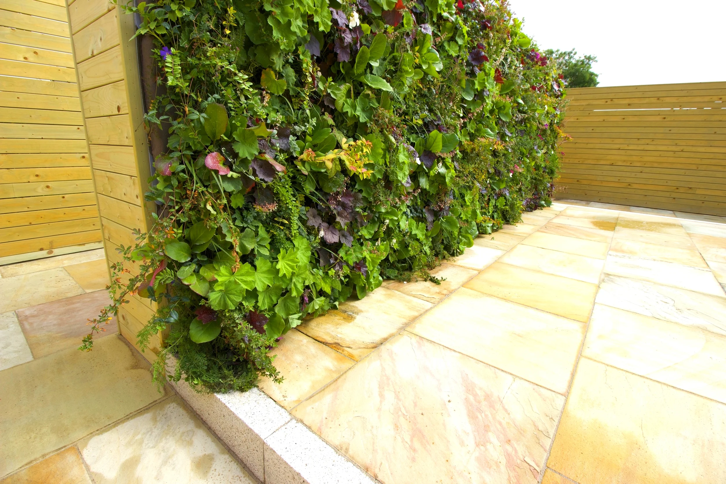 Living Walls and Vertical Planting