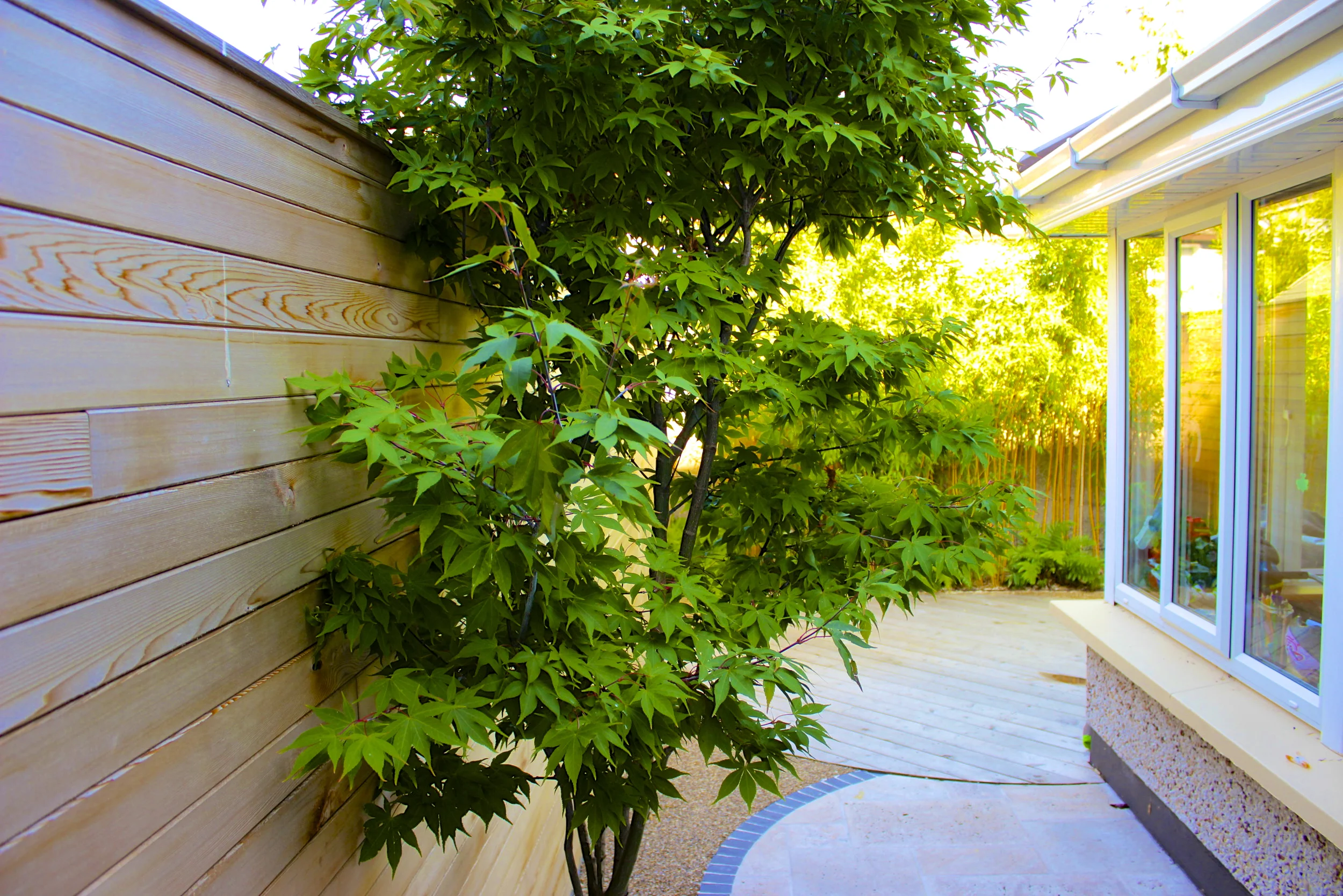 Urban Garden by Amazon Landscaping 