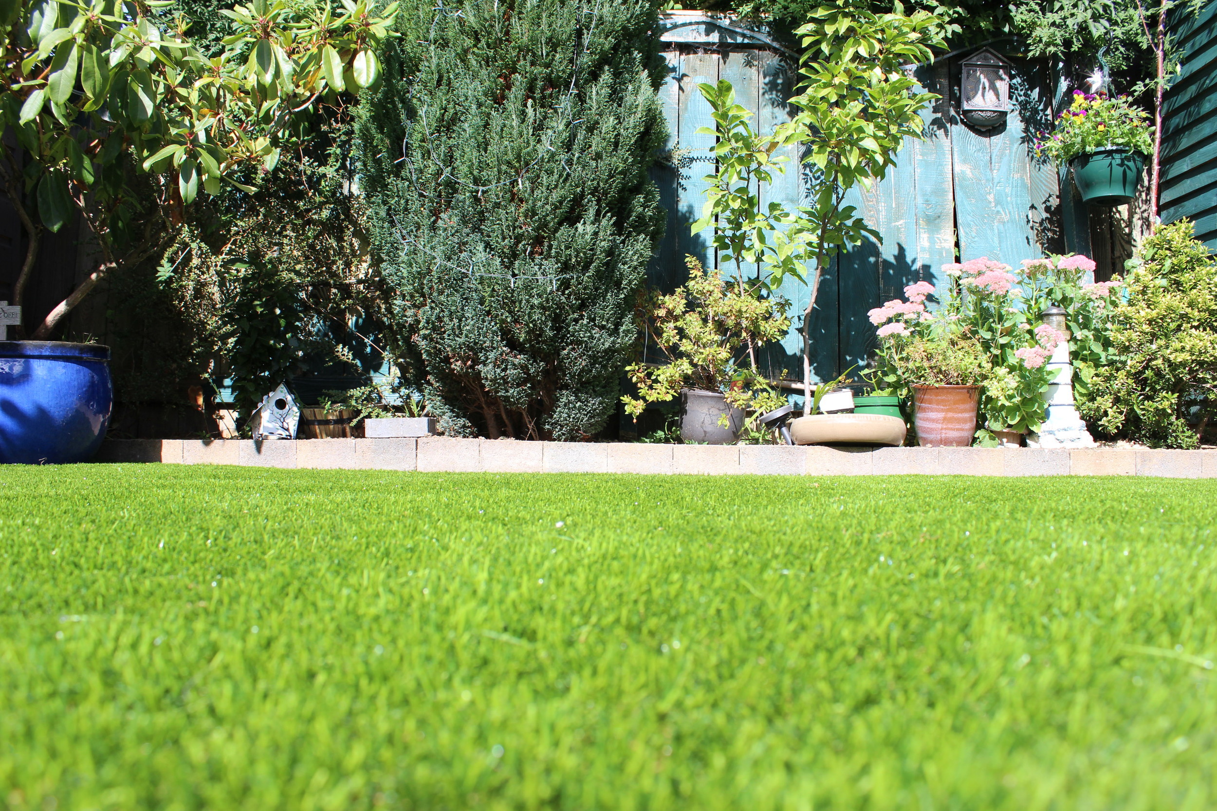 Finesse Deluxe lawn Turf