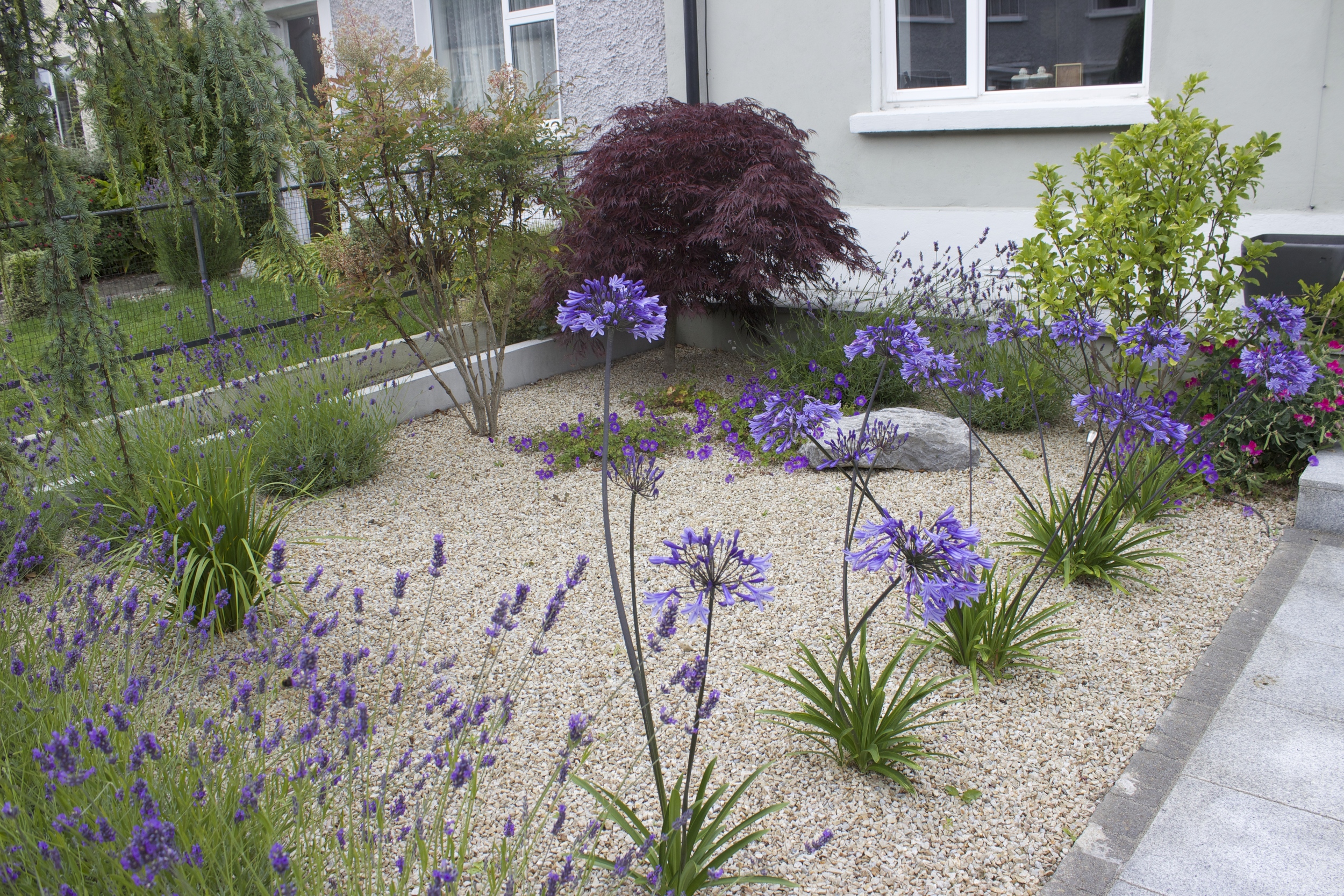 Front Garden and Driveways