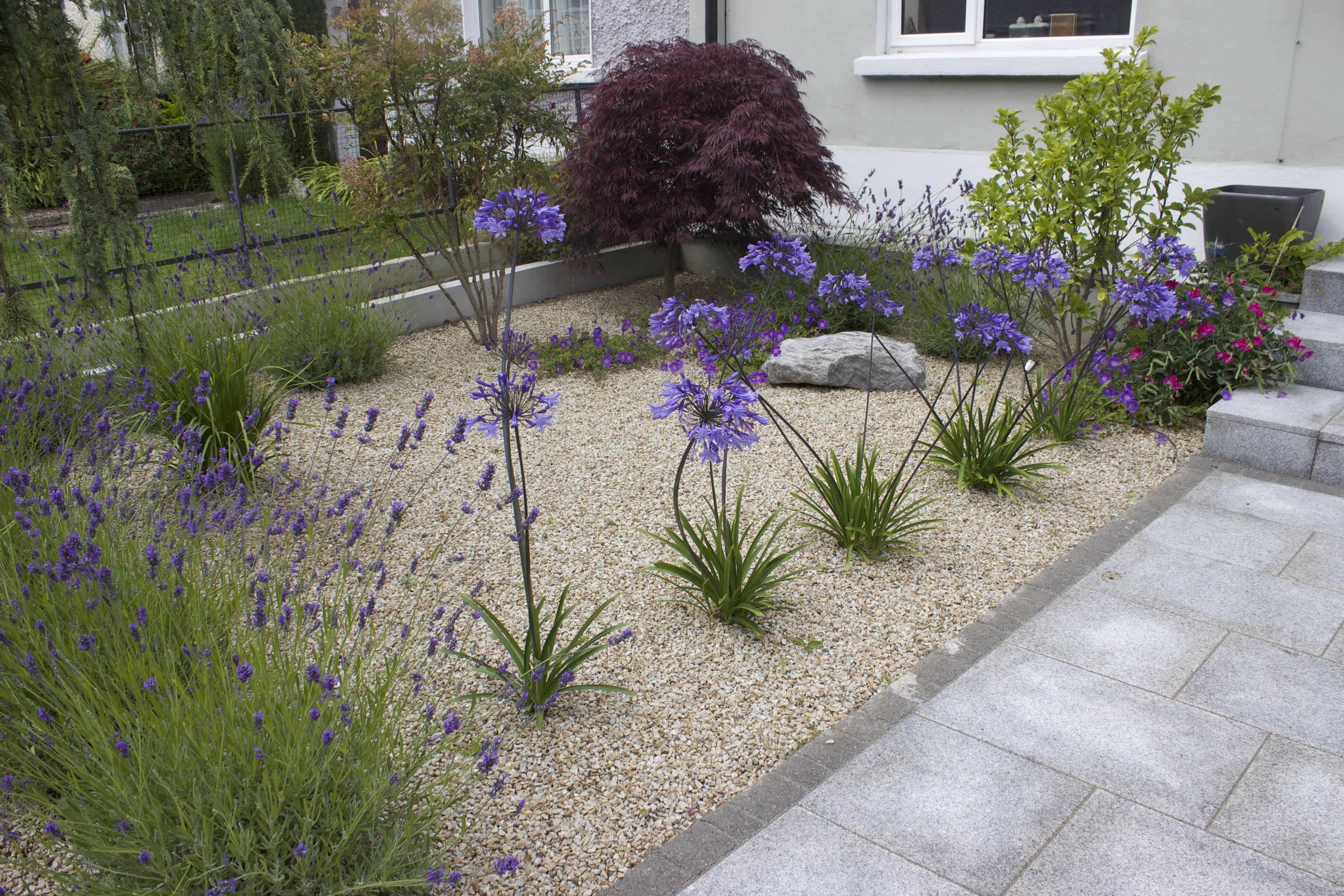 Ornamental planting in front Garden