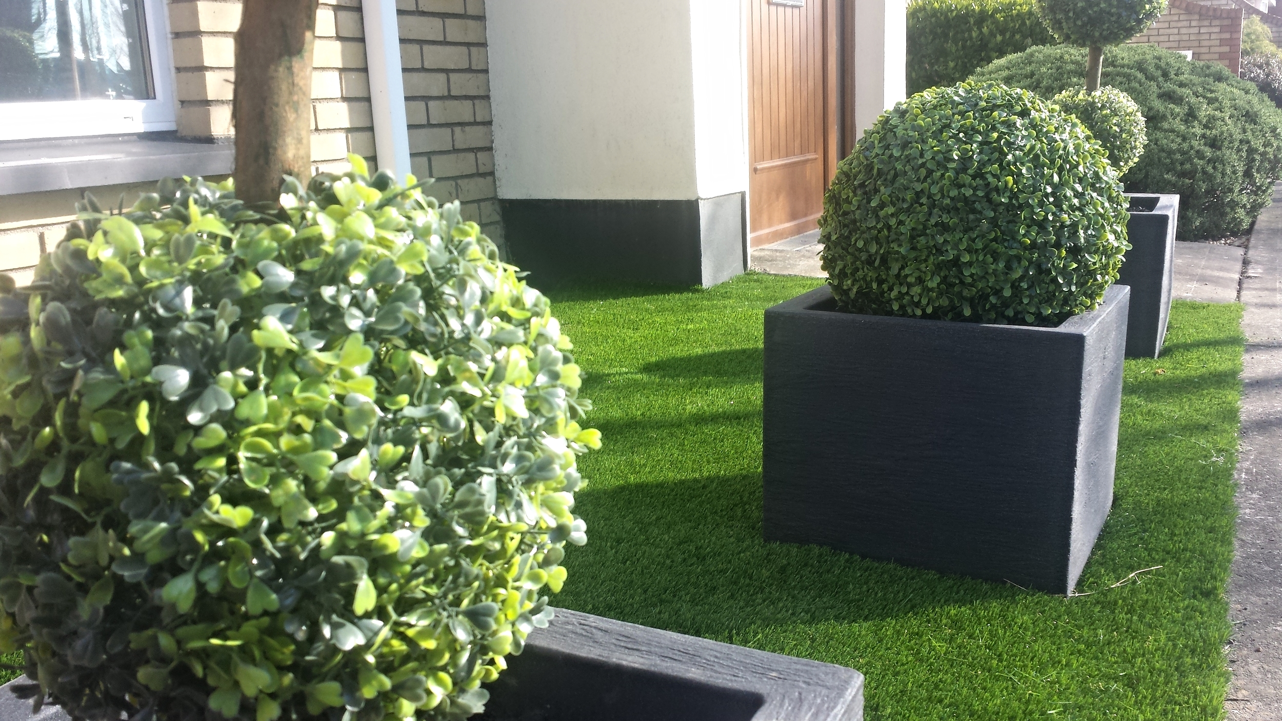 Front Lawn