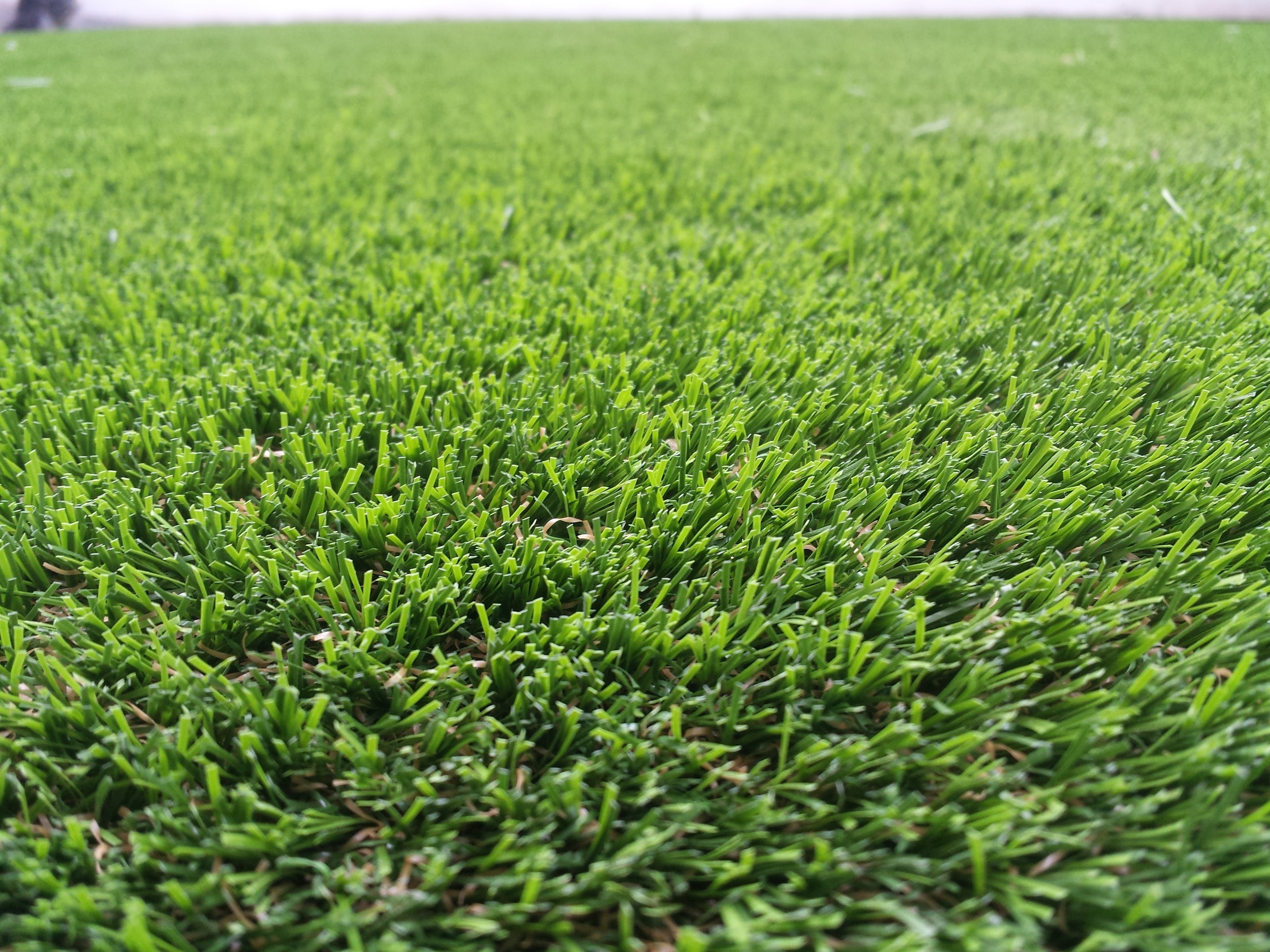 artificial lawn turf