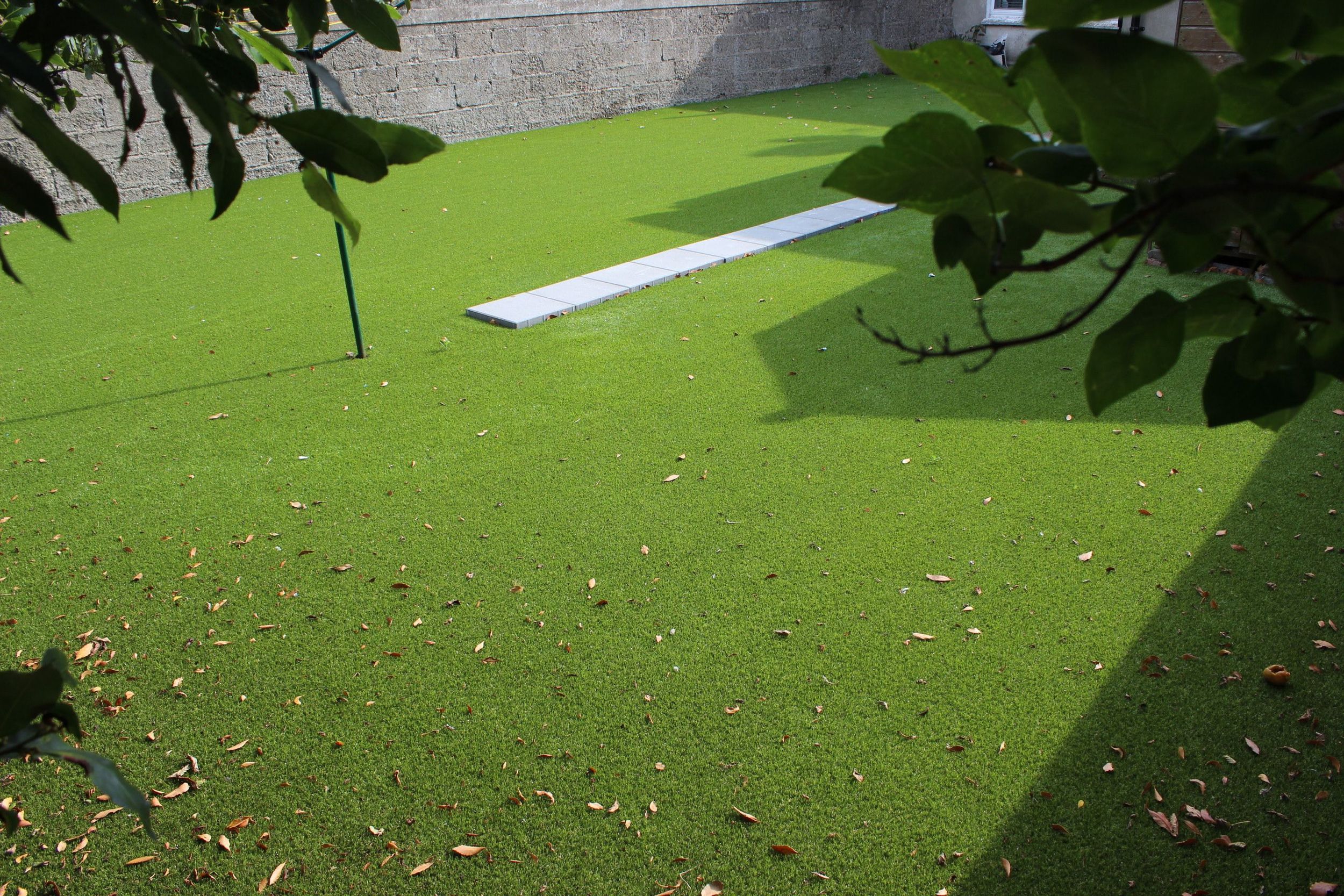 Front and Back Grass