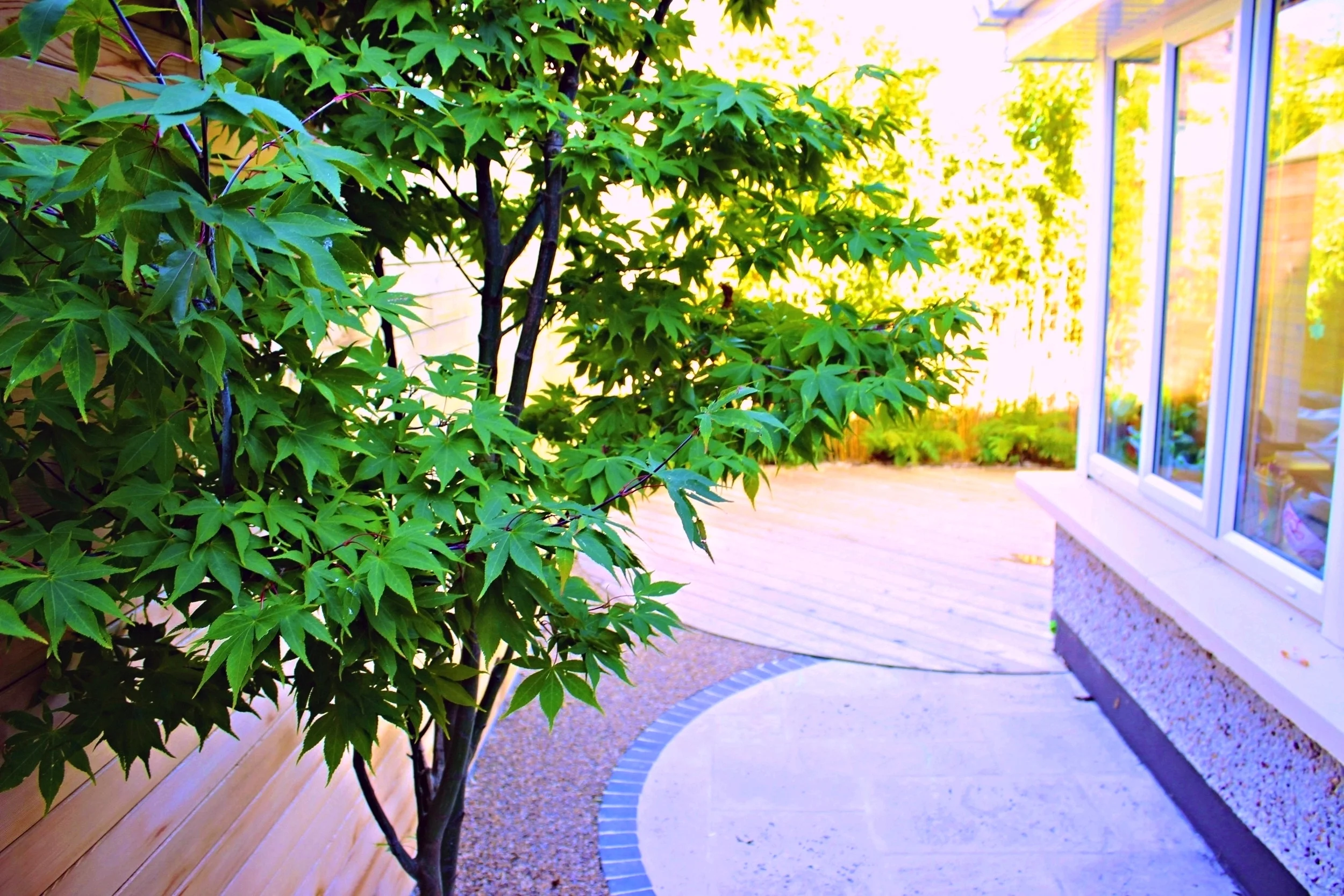 Urban Landscaping.jpg