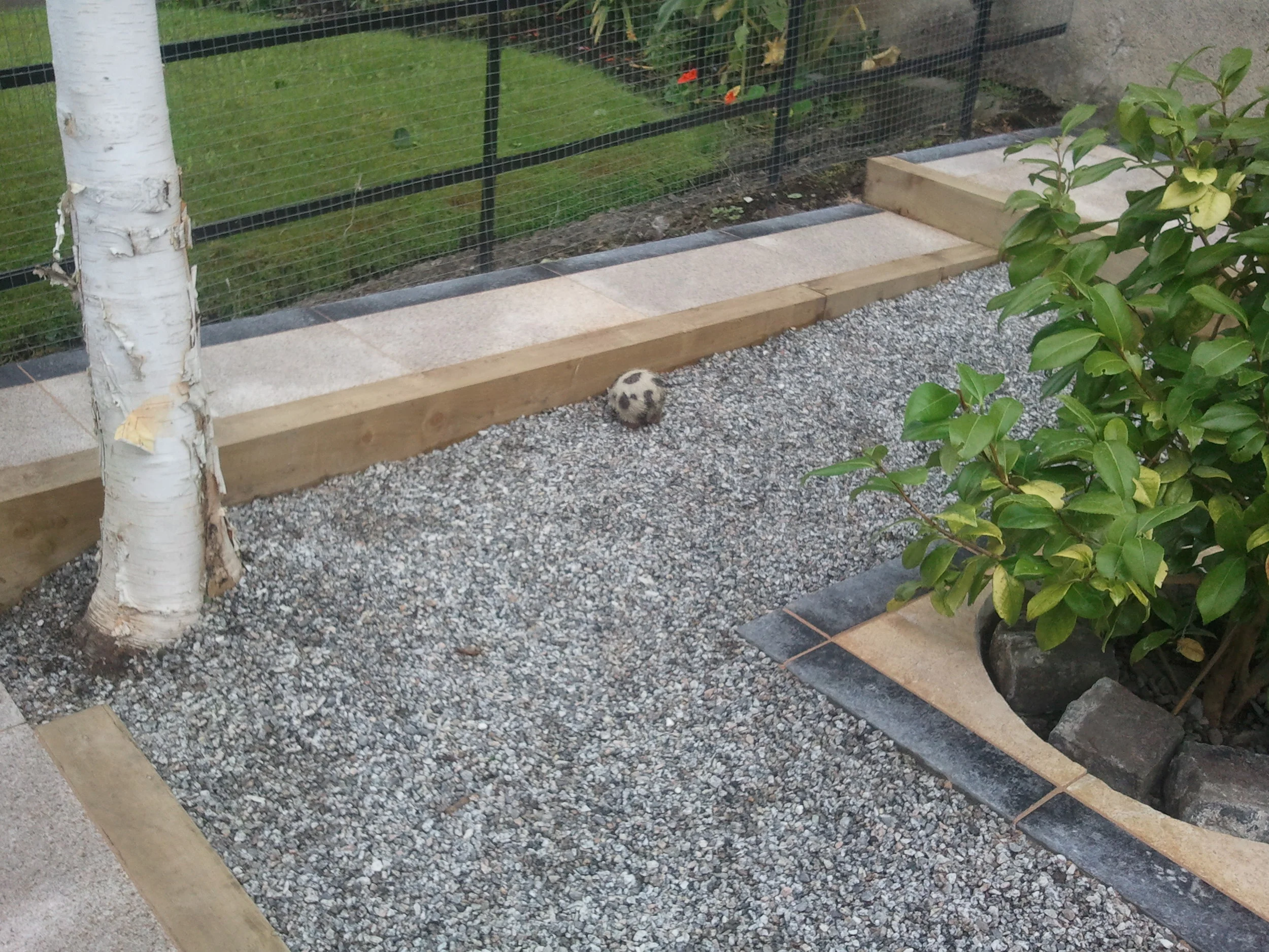 garden landscaping.jpg