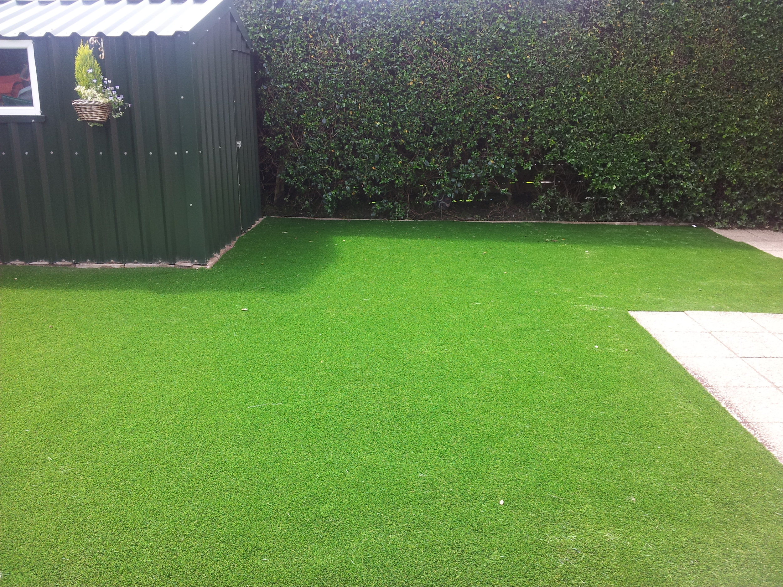 new garden with artificial grass