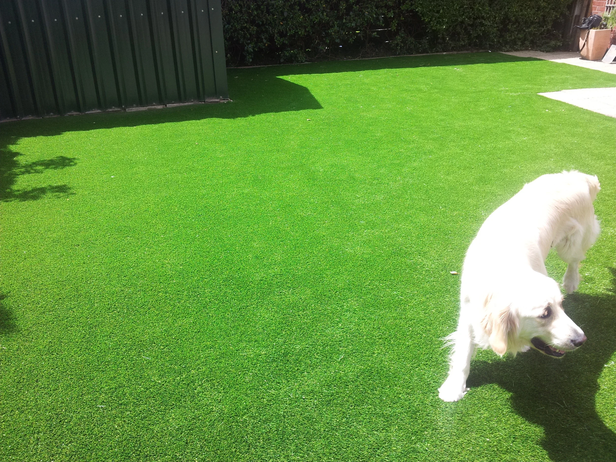 artificial grass for dogs