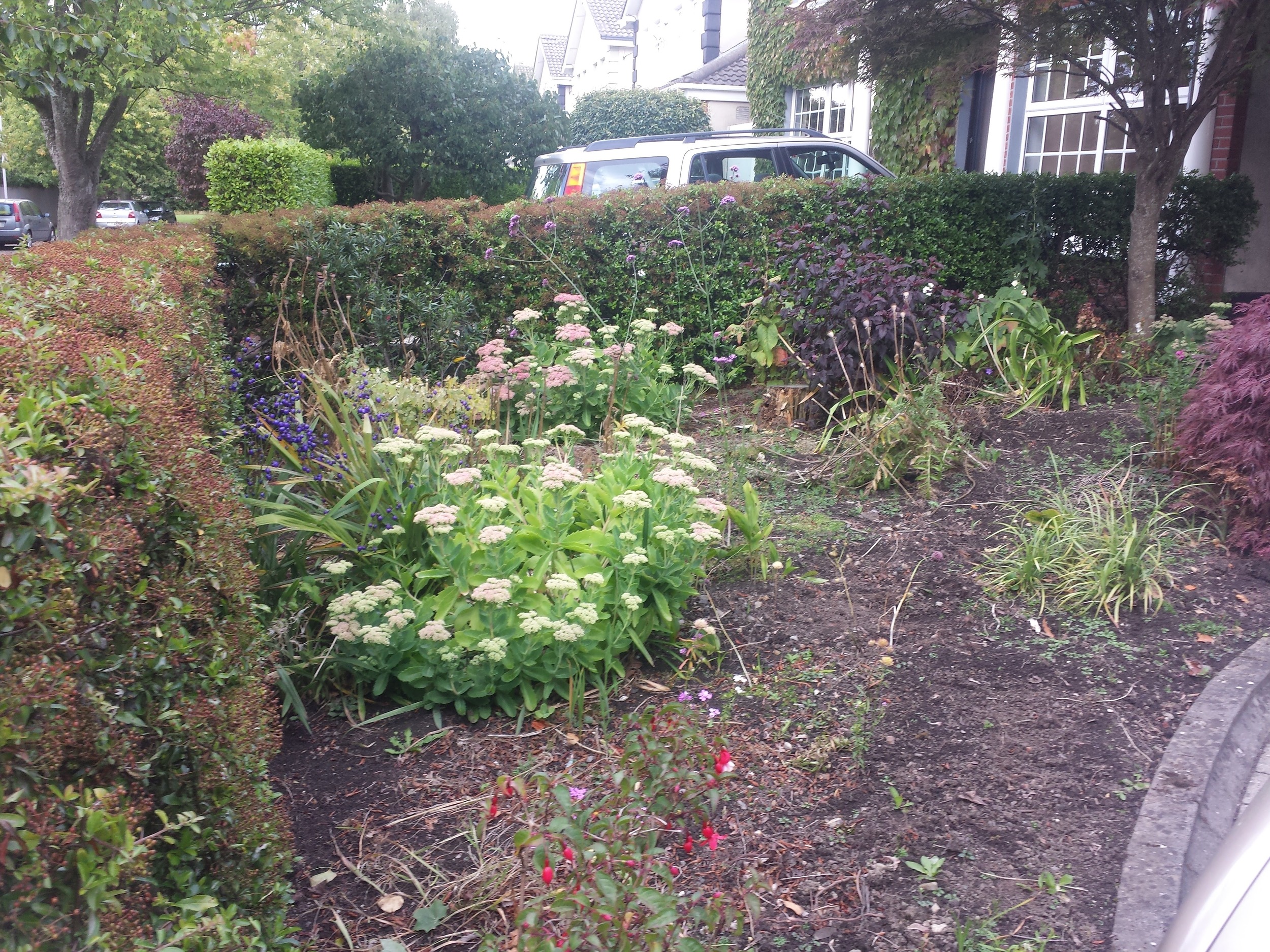 front garden lawn area before artificial grass installation, Foxrock, Dublin, Ireland.jpg