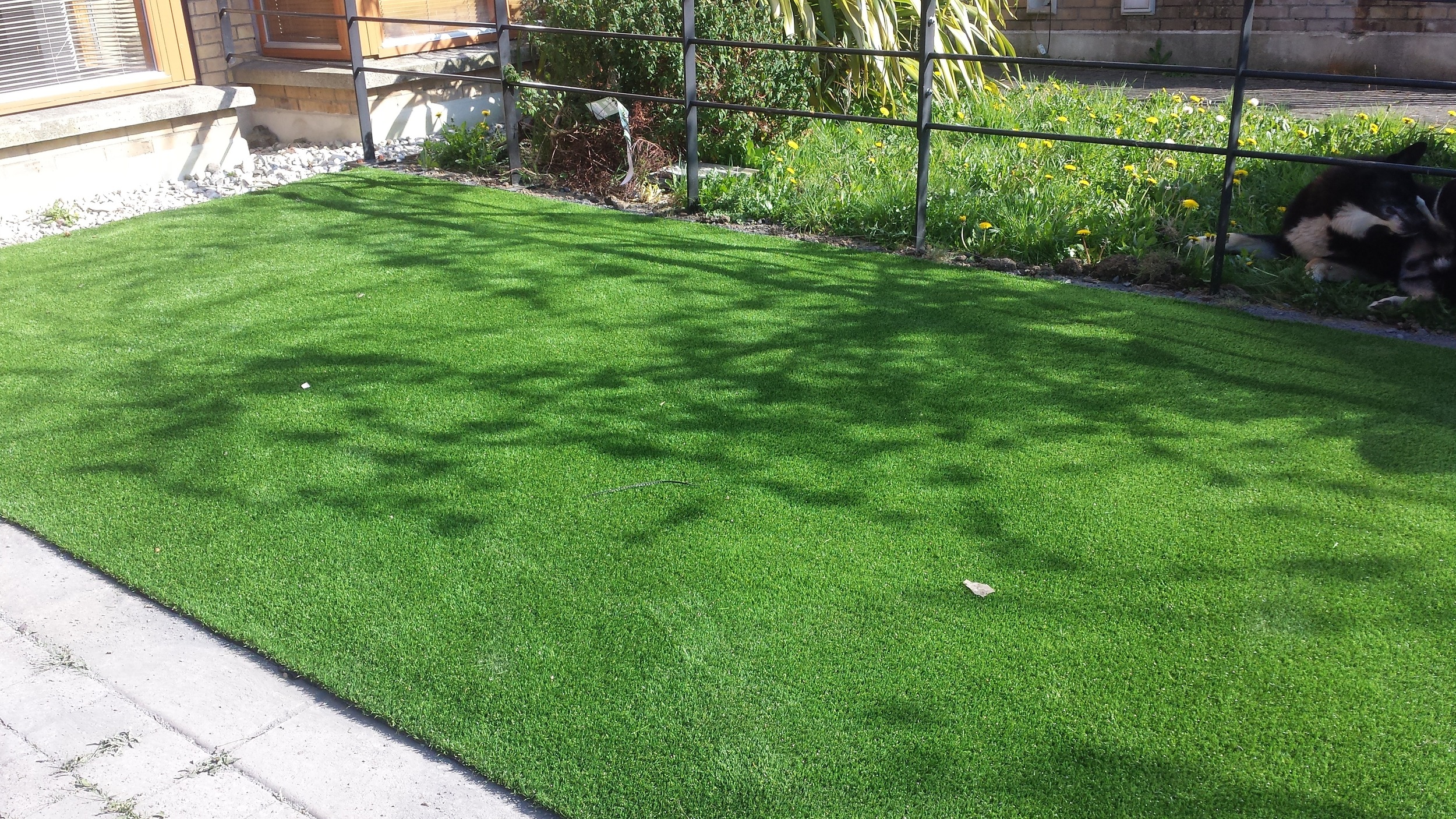 Artificial Grass 