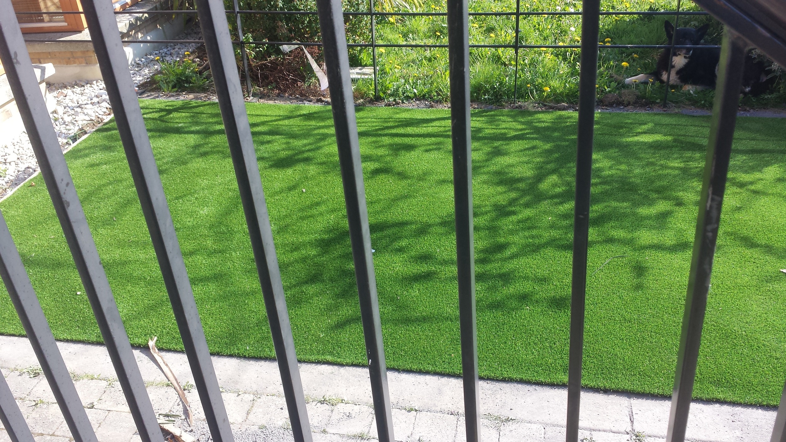 artificial grass Lawn