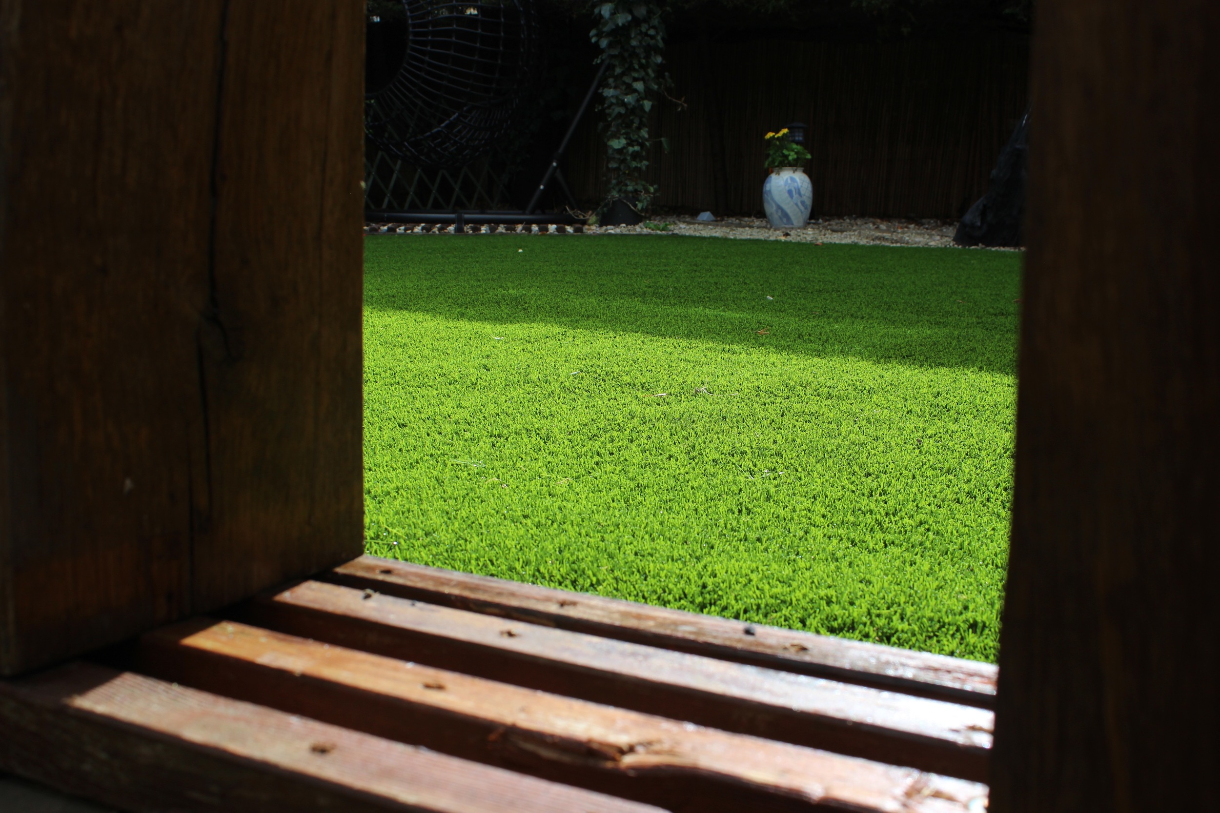 garden lawn turf.jpg