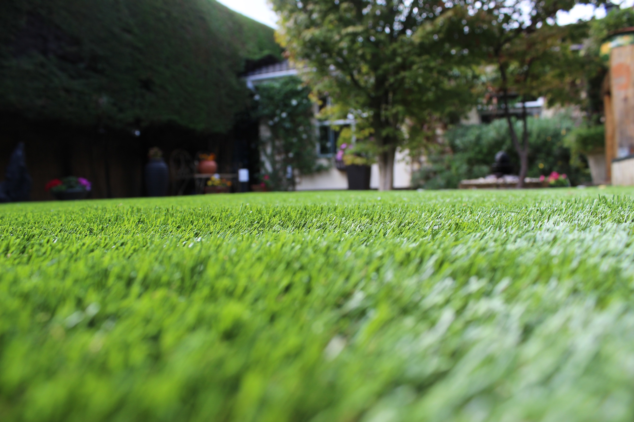 artificial grass turf in Dublin Garden.jpg