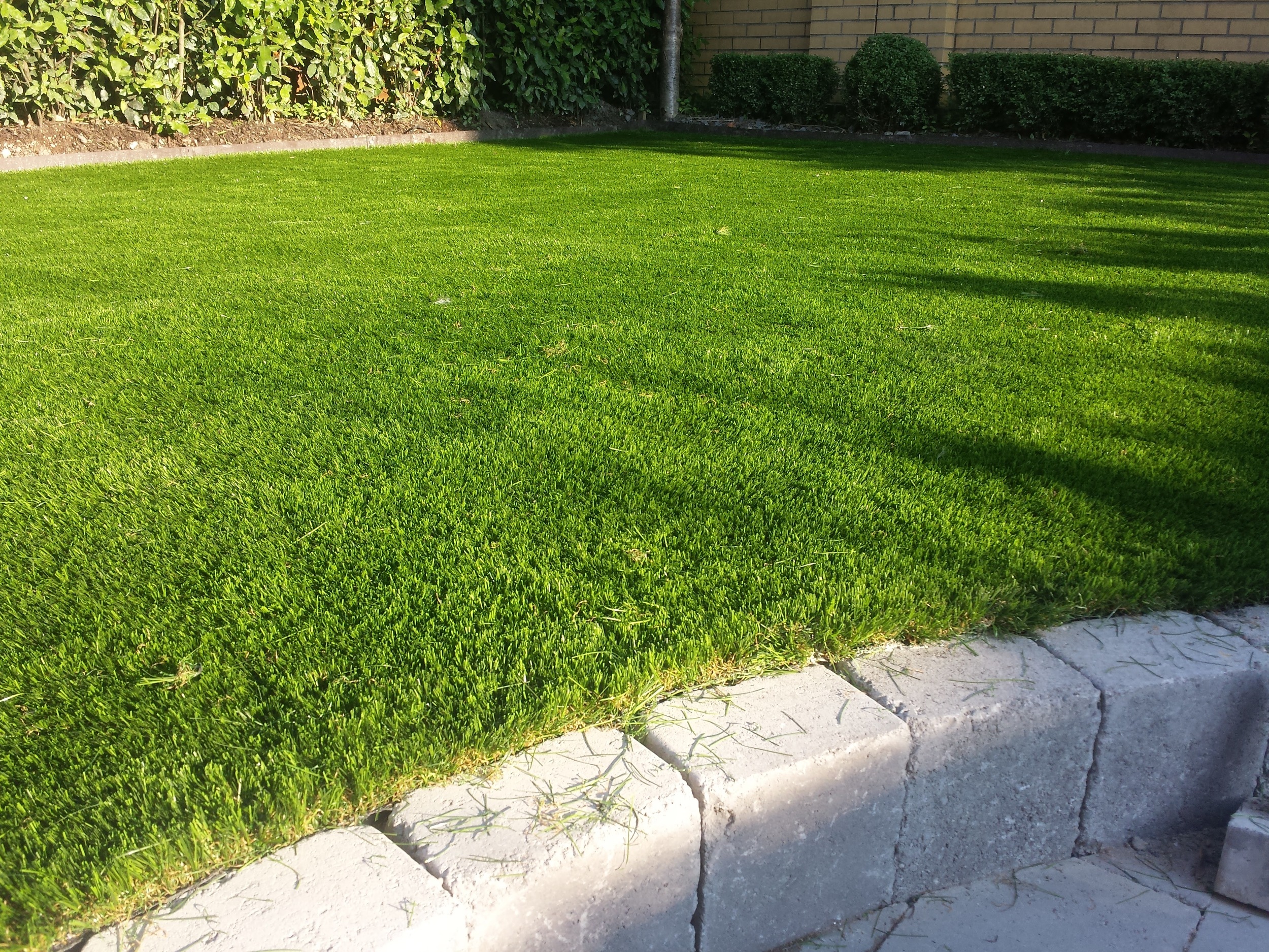 Artificial Grass Lawn