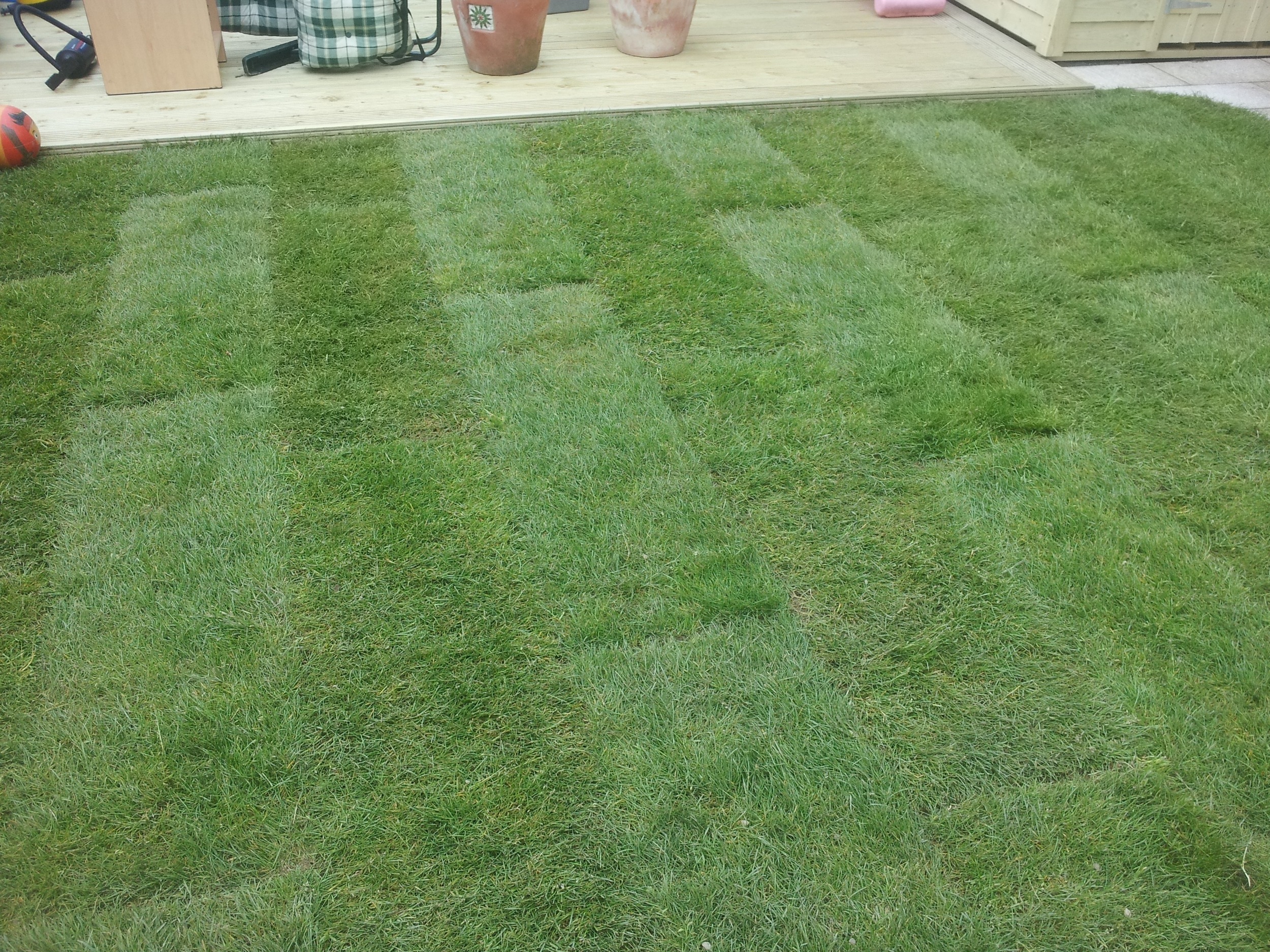 Garden Lawn